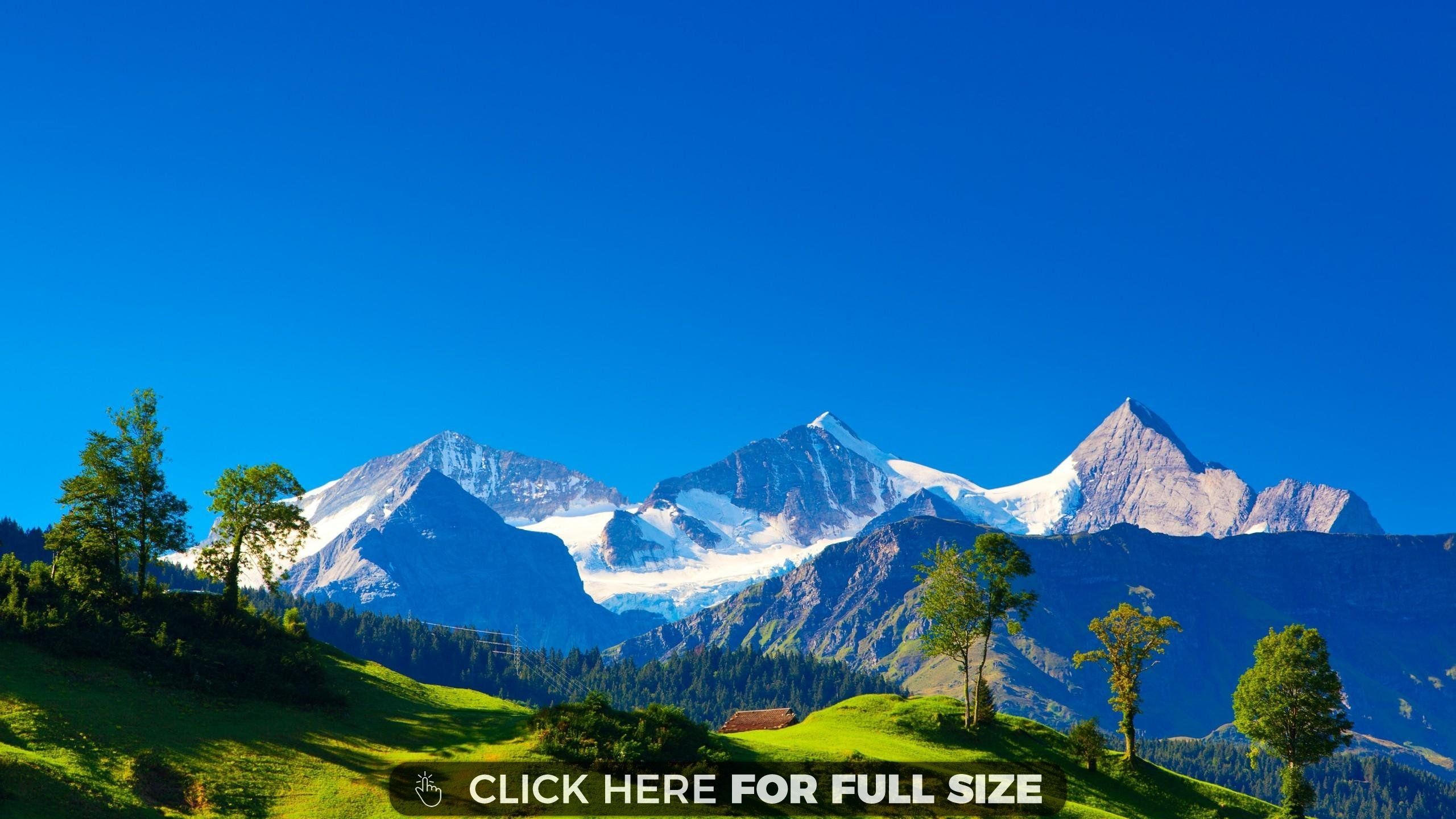 Fondo de pantalla de los  2560x1440