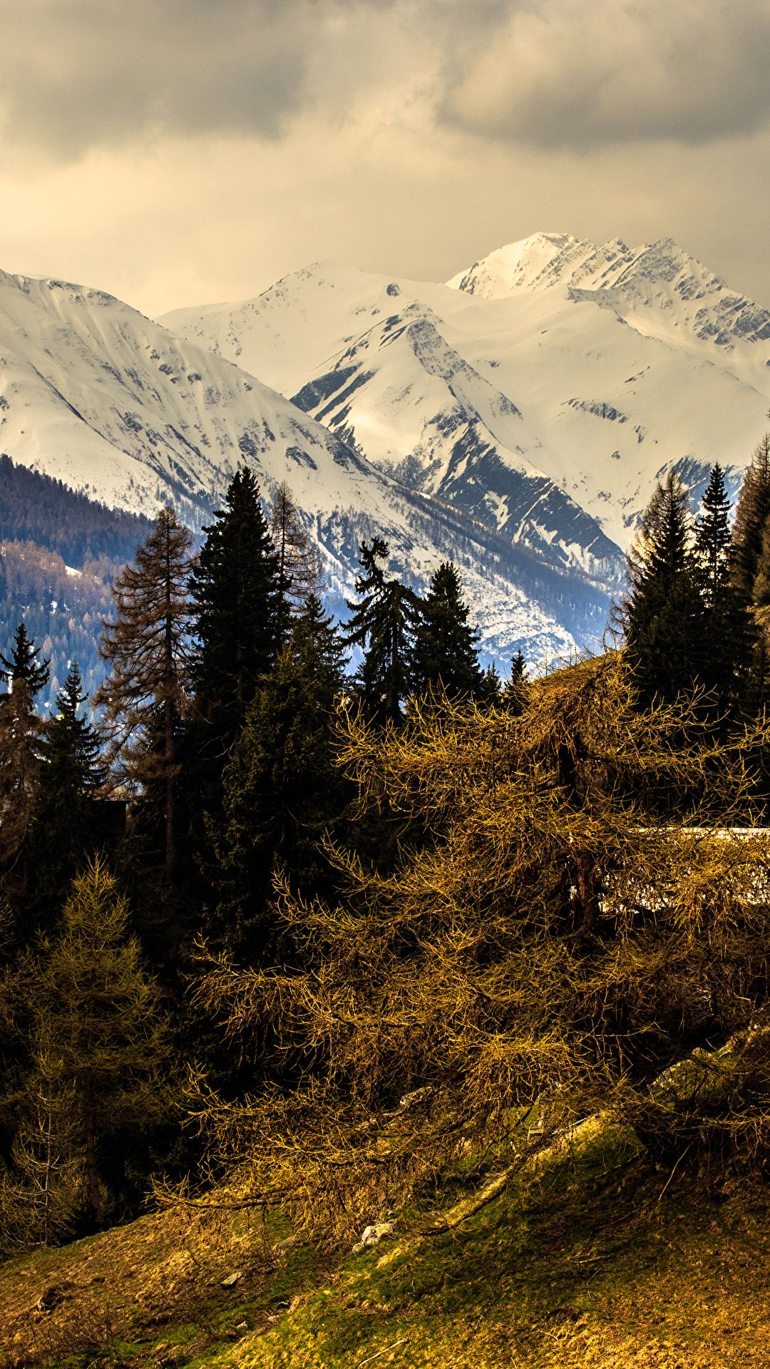 Fondo de pantalla de los  1080x1920