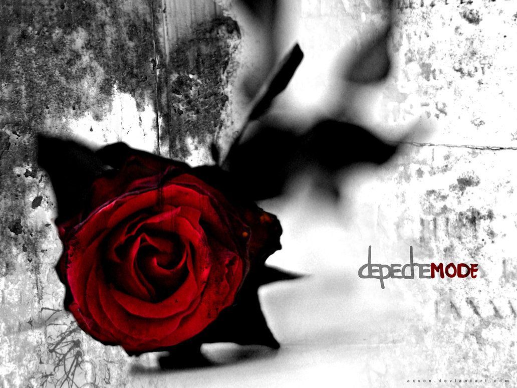 Fondo de pantalla de  1032x774