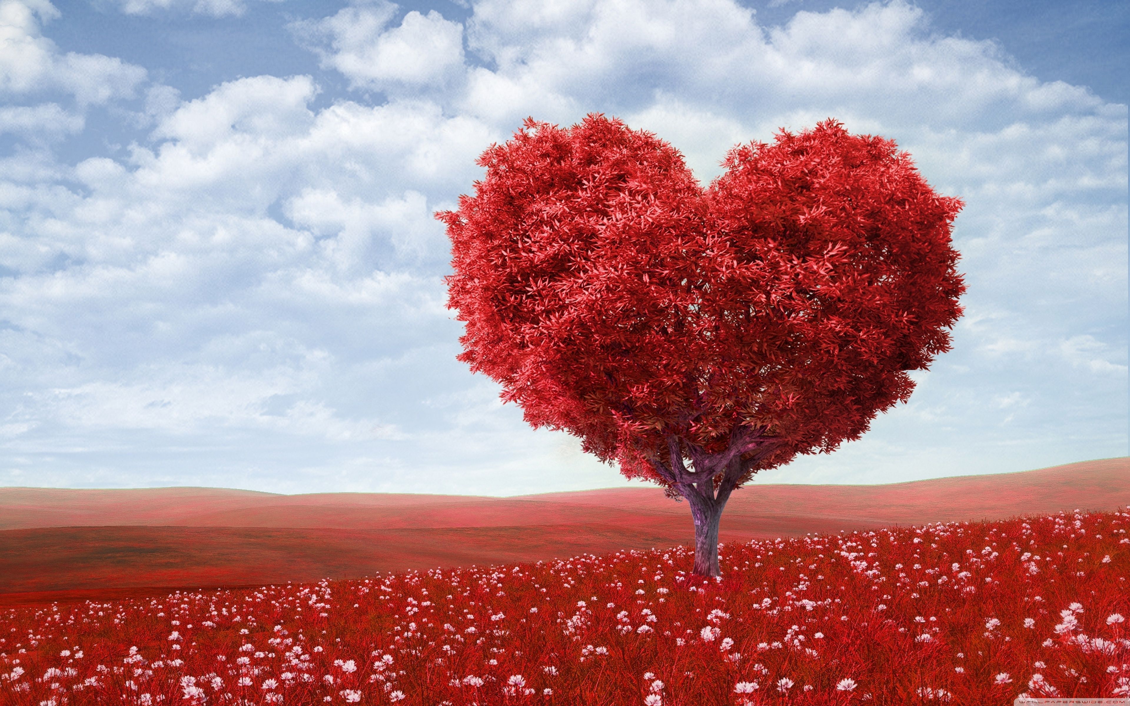 Fondo de pantalla de San Valentín 3840x2400