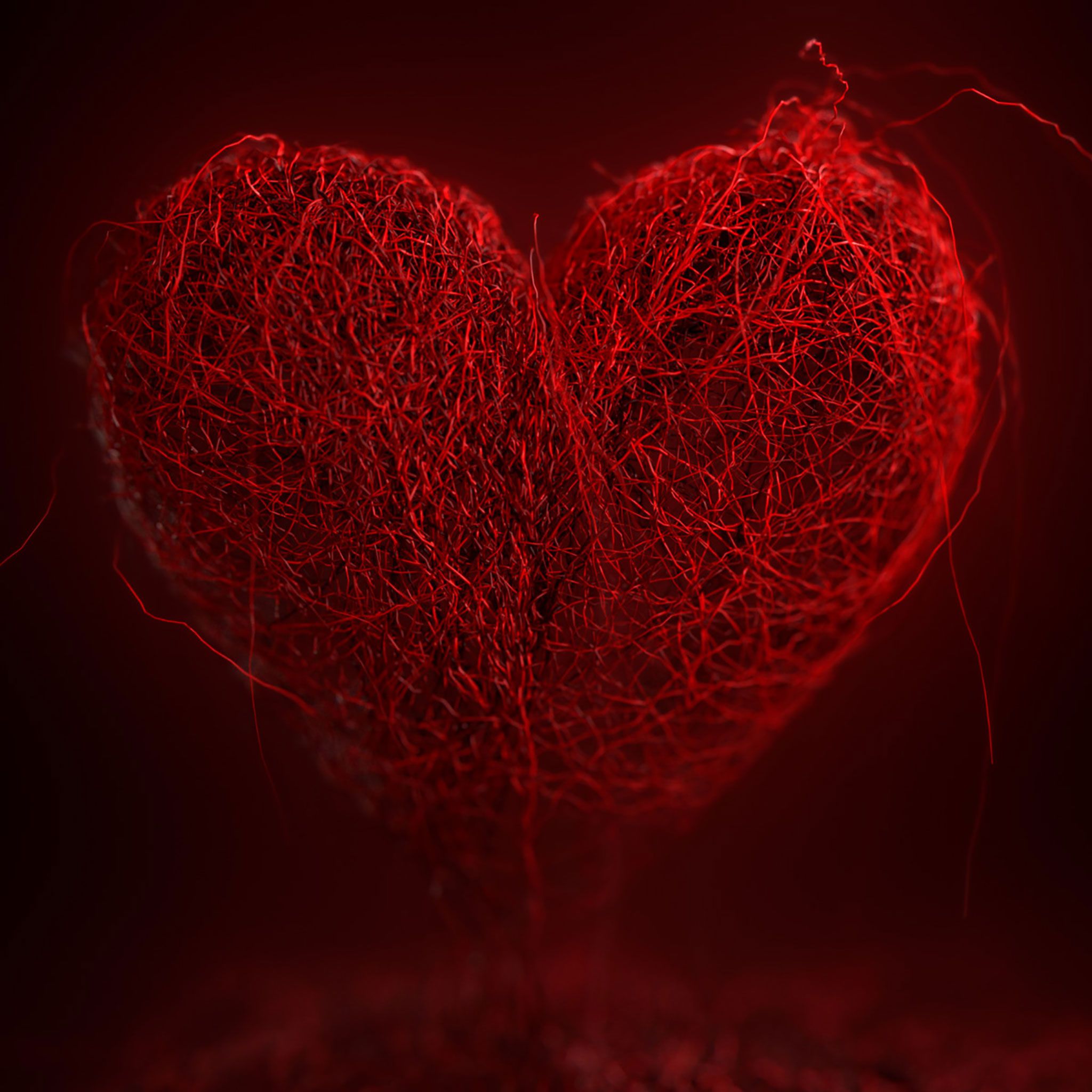 Fondo de pantalla de San Valentín 2048x2048