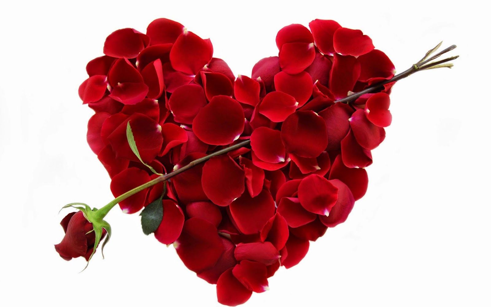 Fondo de pantalla de San Valentín 1600x1000