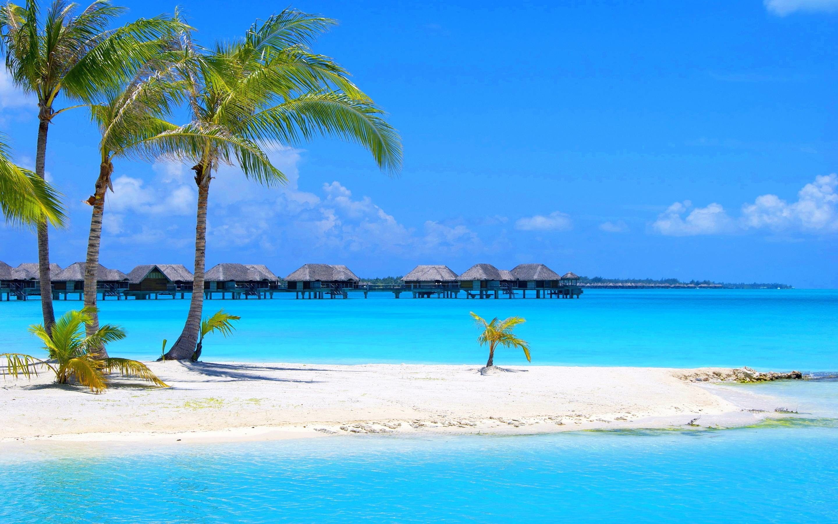 Beautiful Beach (# 103011) - Descargar fondo de pantalla HD