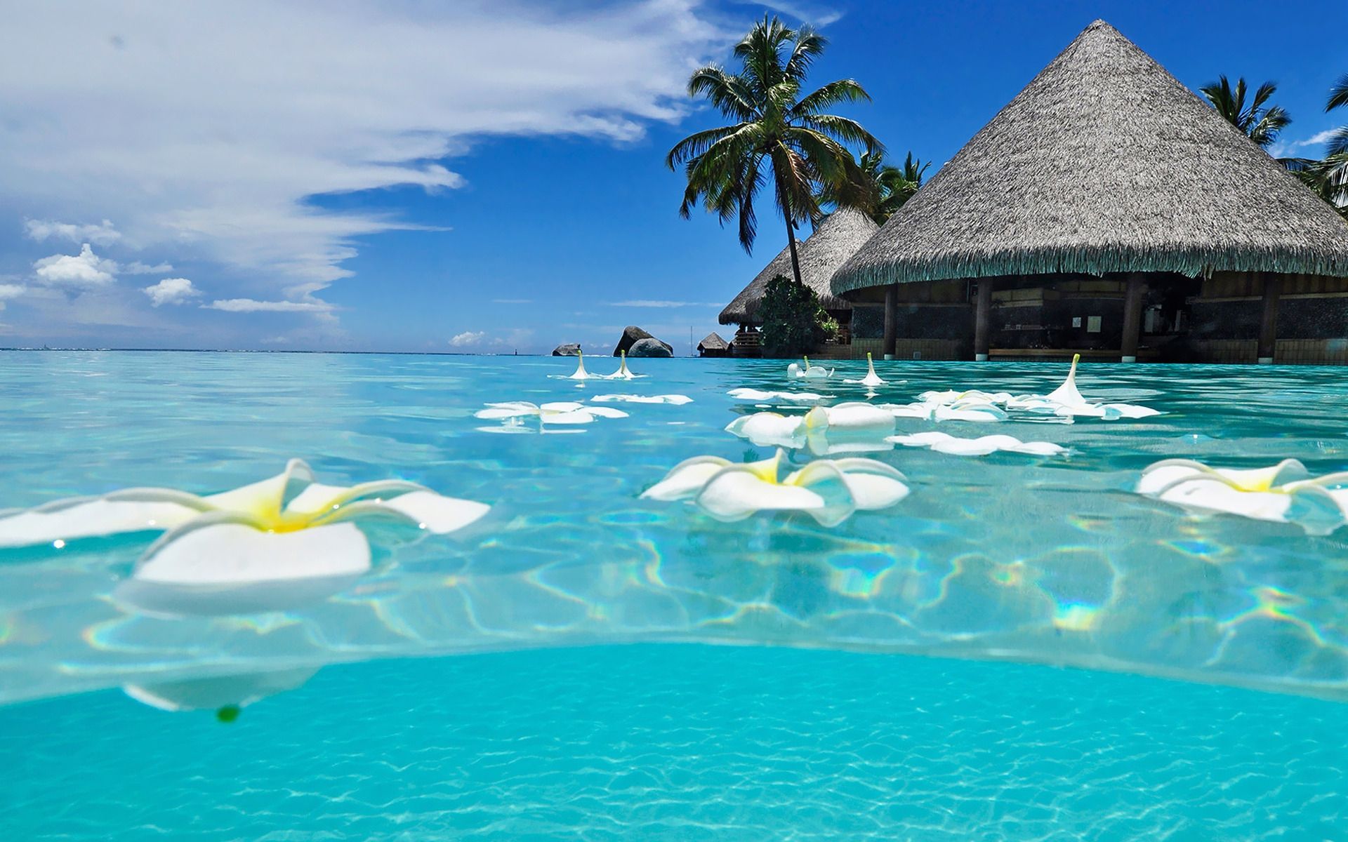 Descargar el fondo de pantalla de las playas más bellas del mundo 13967