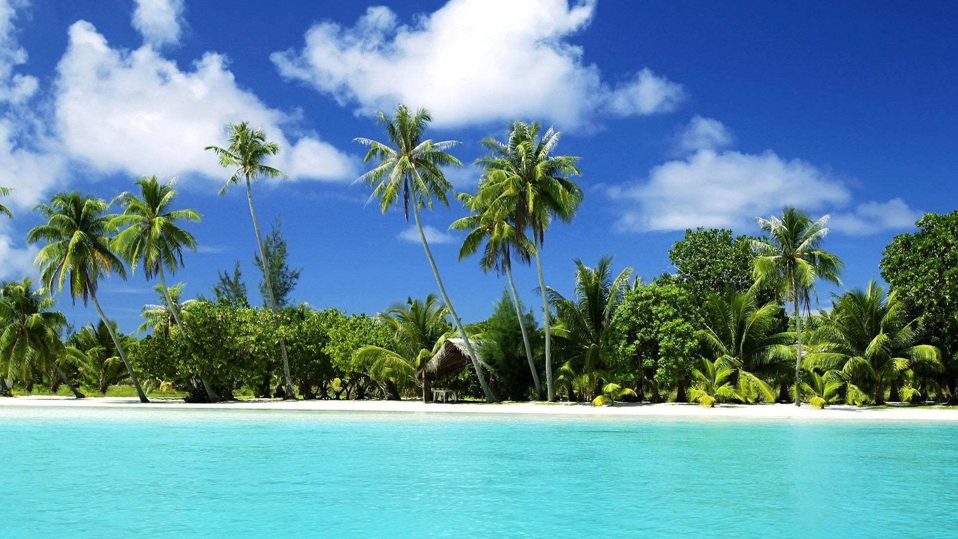 Beautiful Beaches fondo de pantalla | 1920x1080 | # 68422