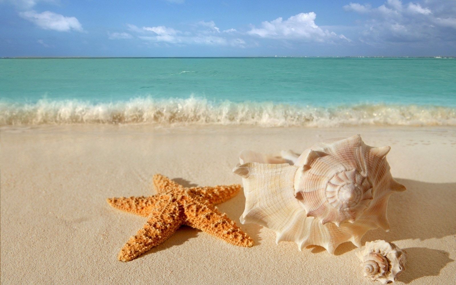 40 hermosos fondos de pantalla de playa para tu escritorio móvil y tableta - HD