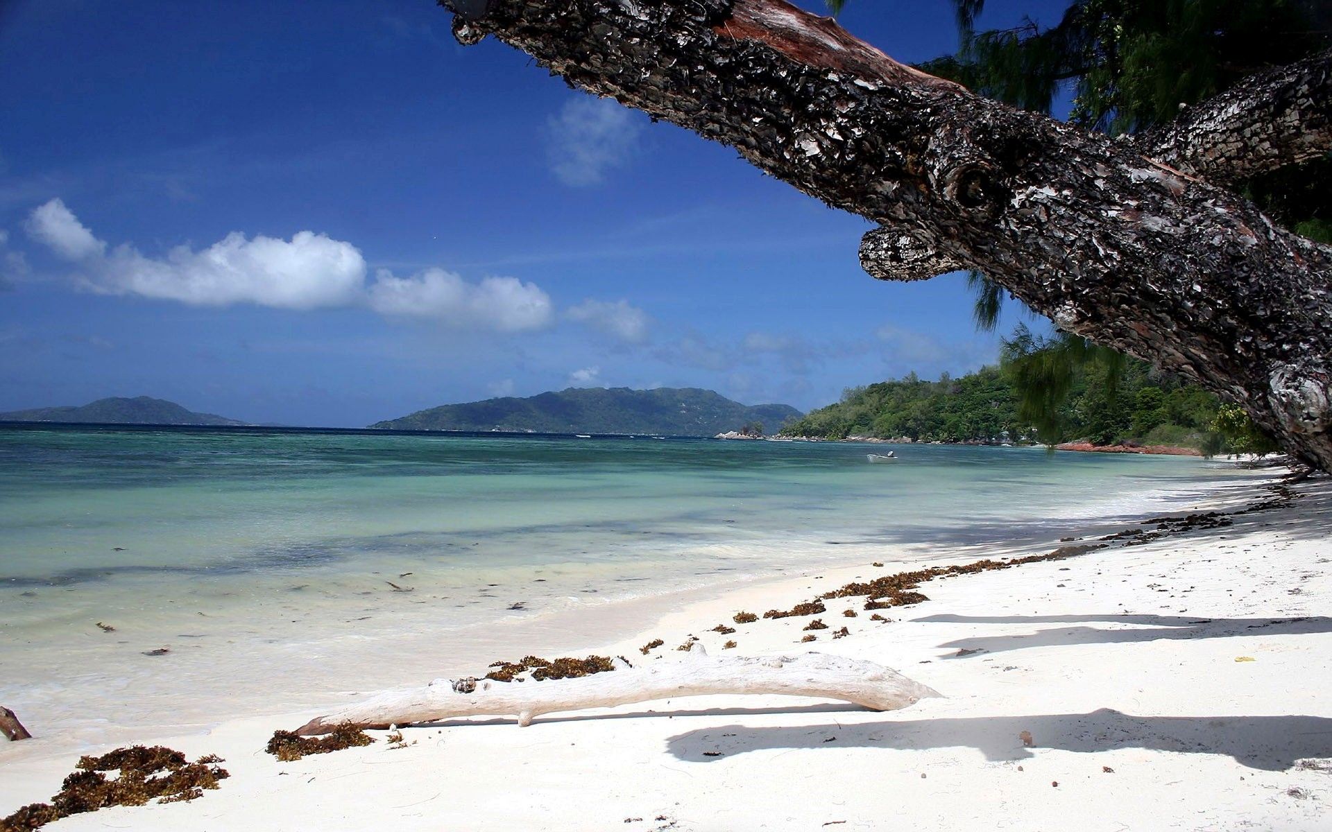 Las mejores playas hermosas Wallpaper | HD Wallpapers