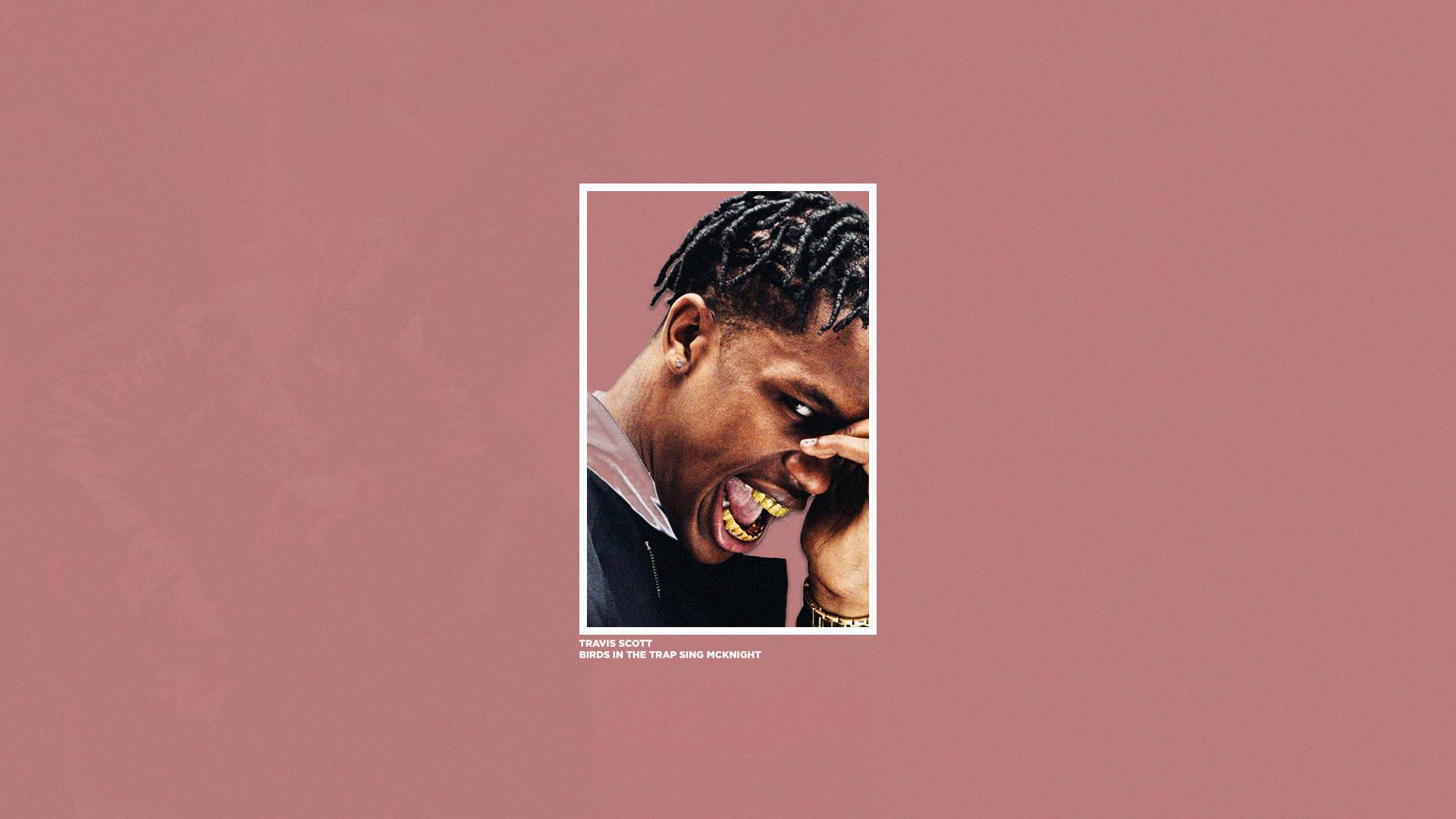Fondo de pantalla de Birds in The Trap - Dylan
