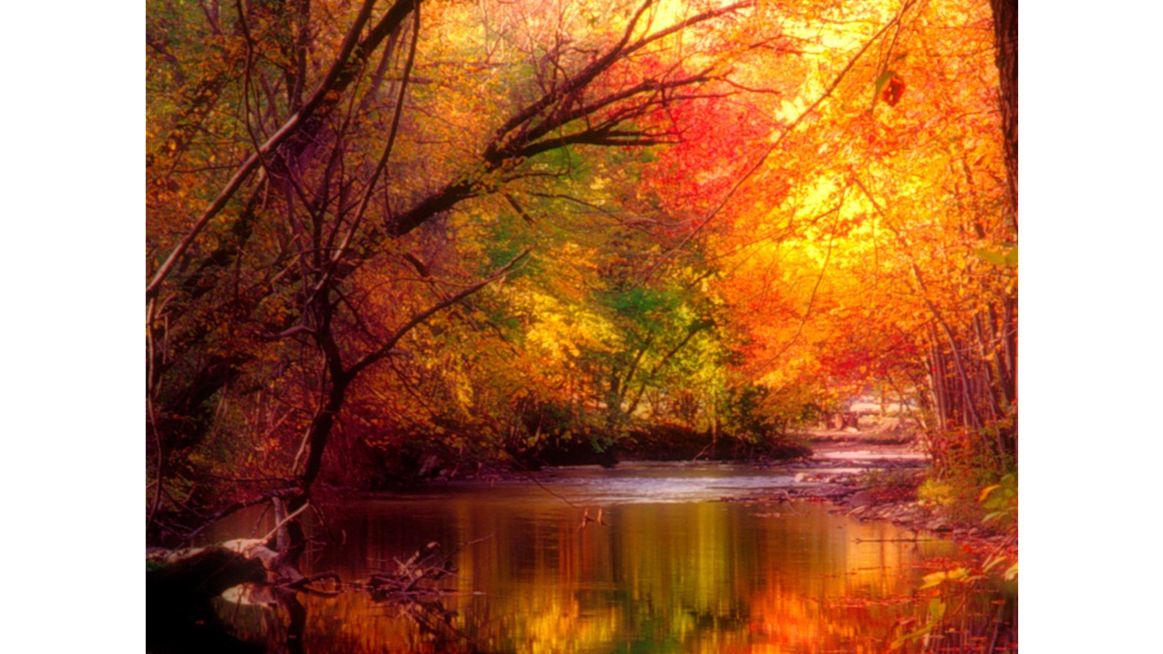 57+ fondos de pantalla de River Scene