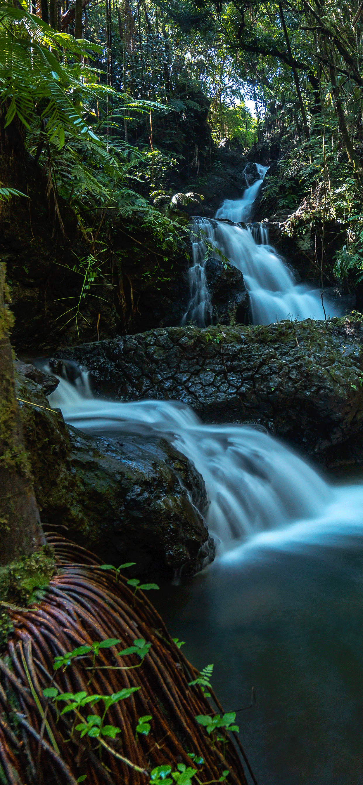 River Wallpaper para iPhone X, 8, 7, 6 - Descarga gratis en 3Wallpapers