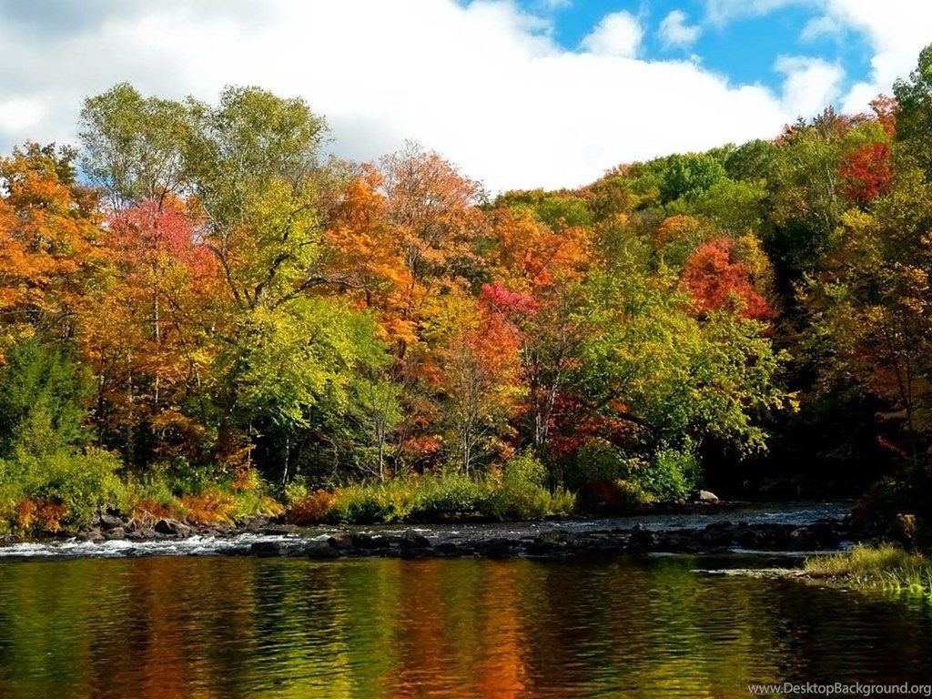 Fondo de pantalla: River Wallpapers Desktop Background