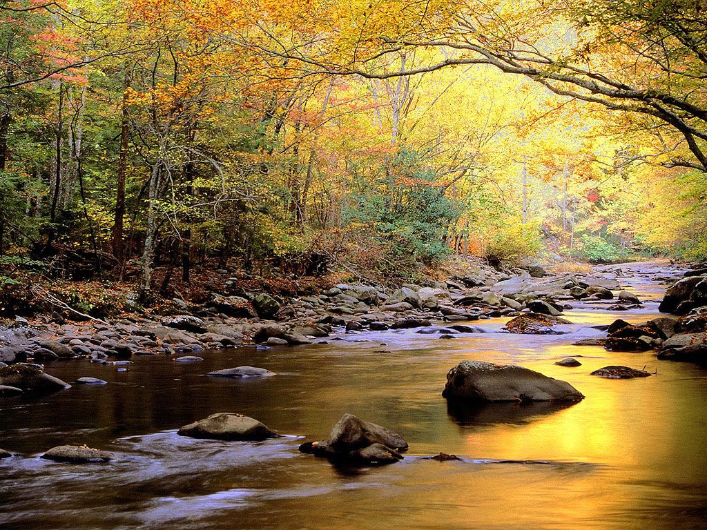River Wallpaper | HD Wallpapers Pulse