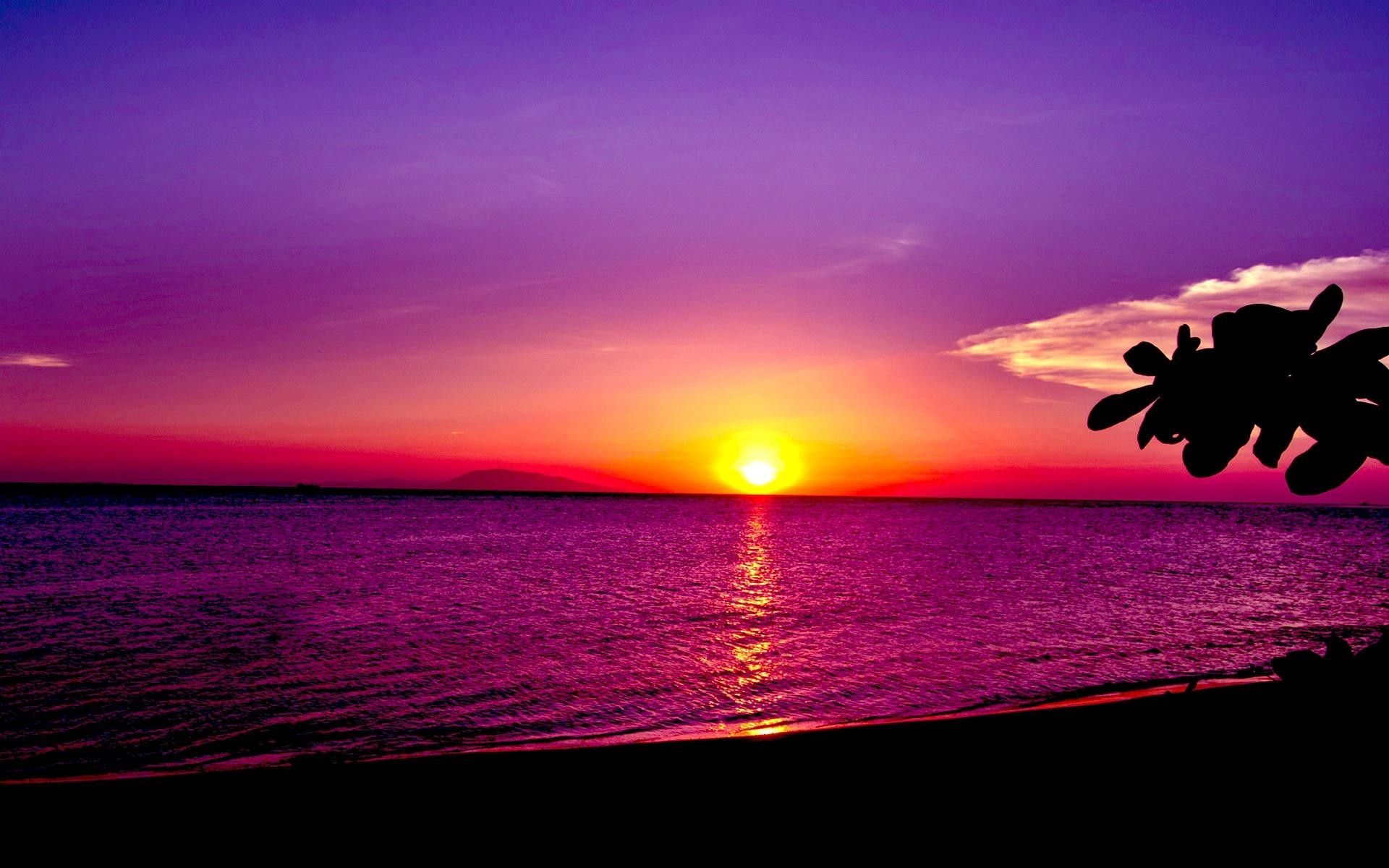 Más de 67 fondos de pantalla de Pretty Sunset