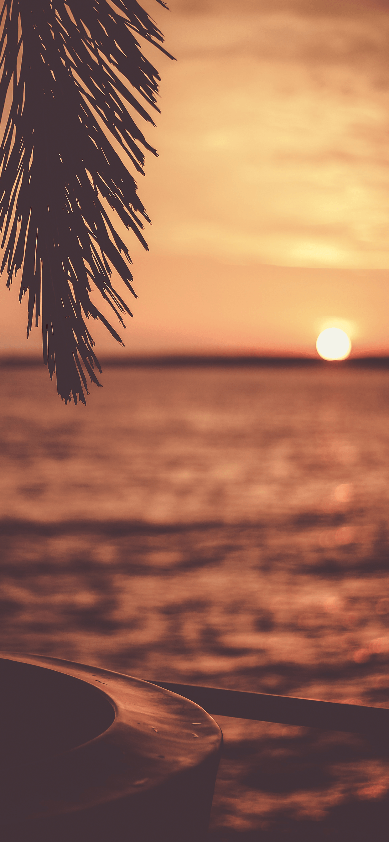 Sunset Wallpaper para iPhone X, 8, 7, 6 - Descarga gratis en 3Wallpapers