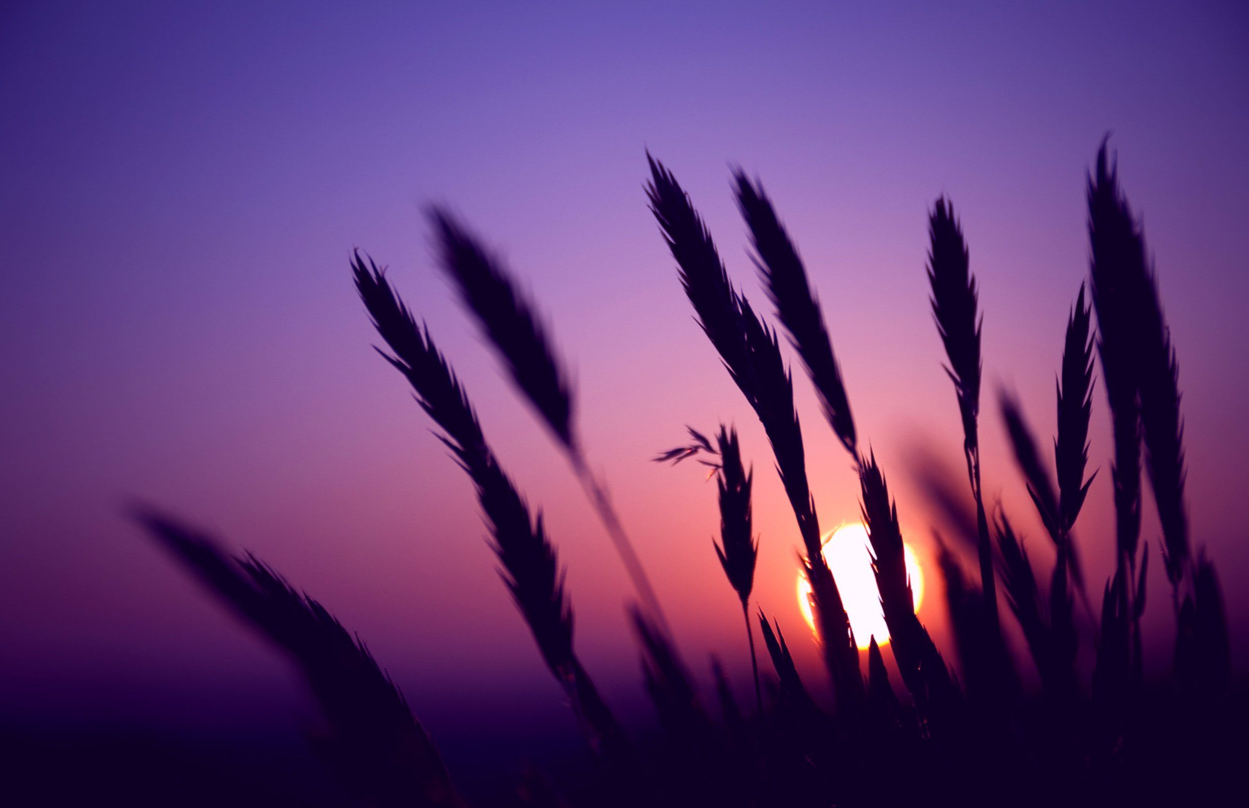 29 increíbles fondos de pantalla HD y QHD al atardecer