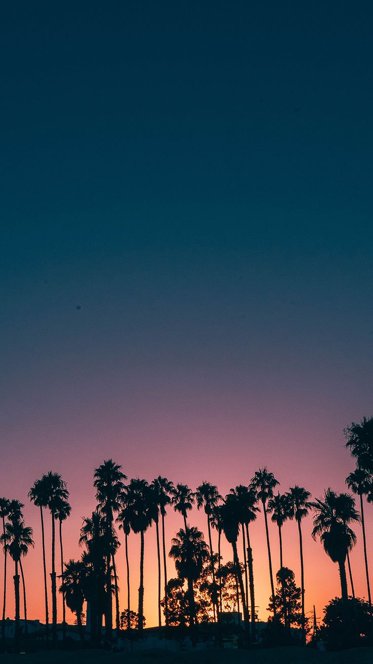 9 Fondos de iPhone de Summer Sunset para matar esa depresión invernal