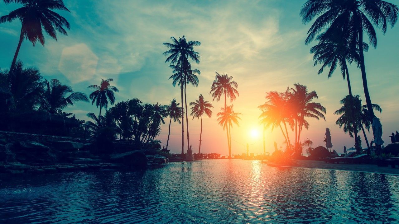 70+ Palm Sunset Wallpapers - Descargar