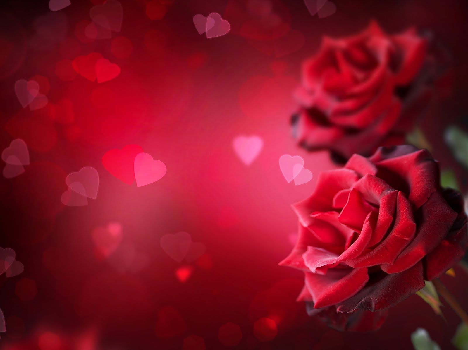 Imágenes del Día de San Valentín con movimiento Para Fondo de