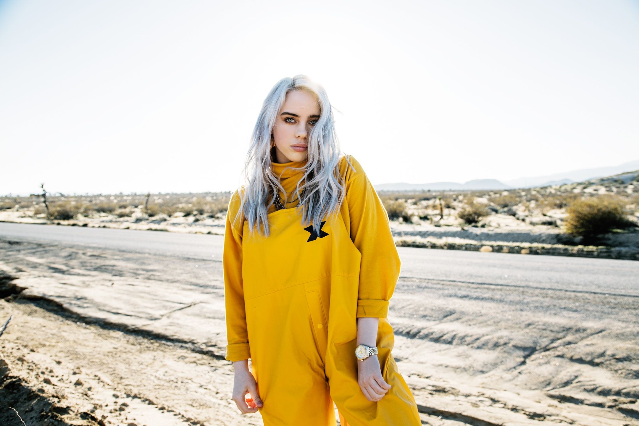 Fondo de pantalla de Billie Eilish 2160x1440