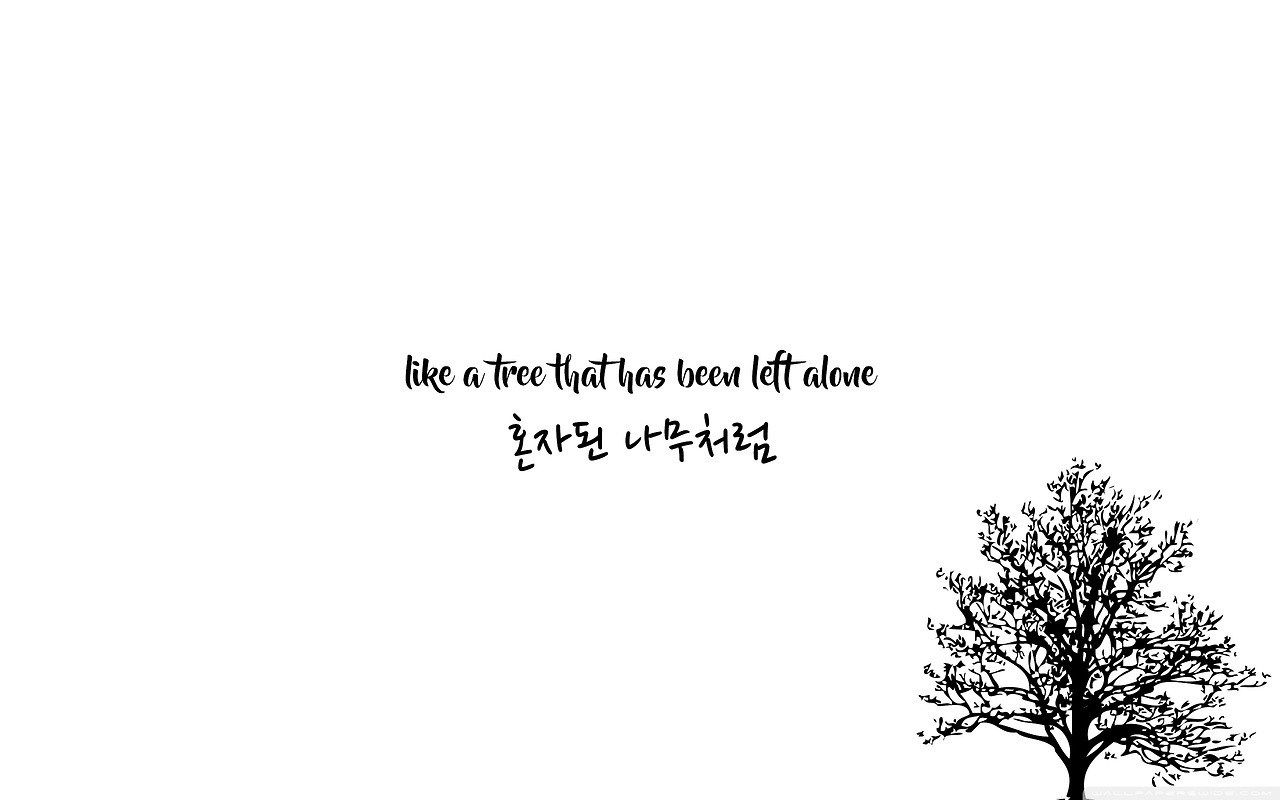 Kpop Desktop Wallpaper - Kpop Lyric Wallpaper Desktop (# 83524) - HD