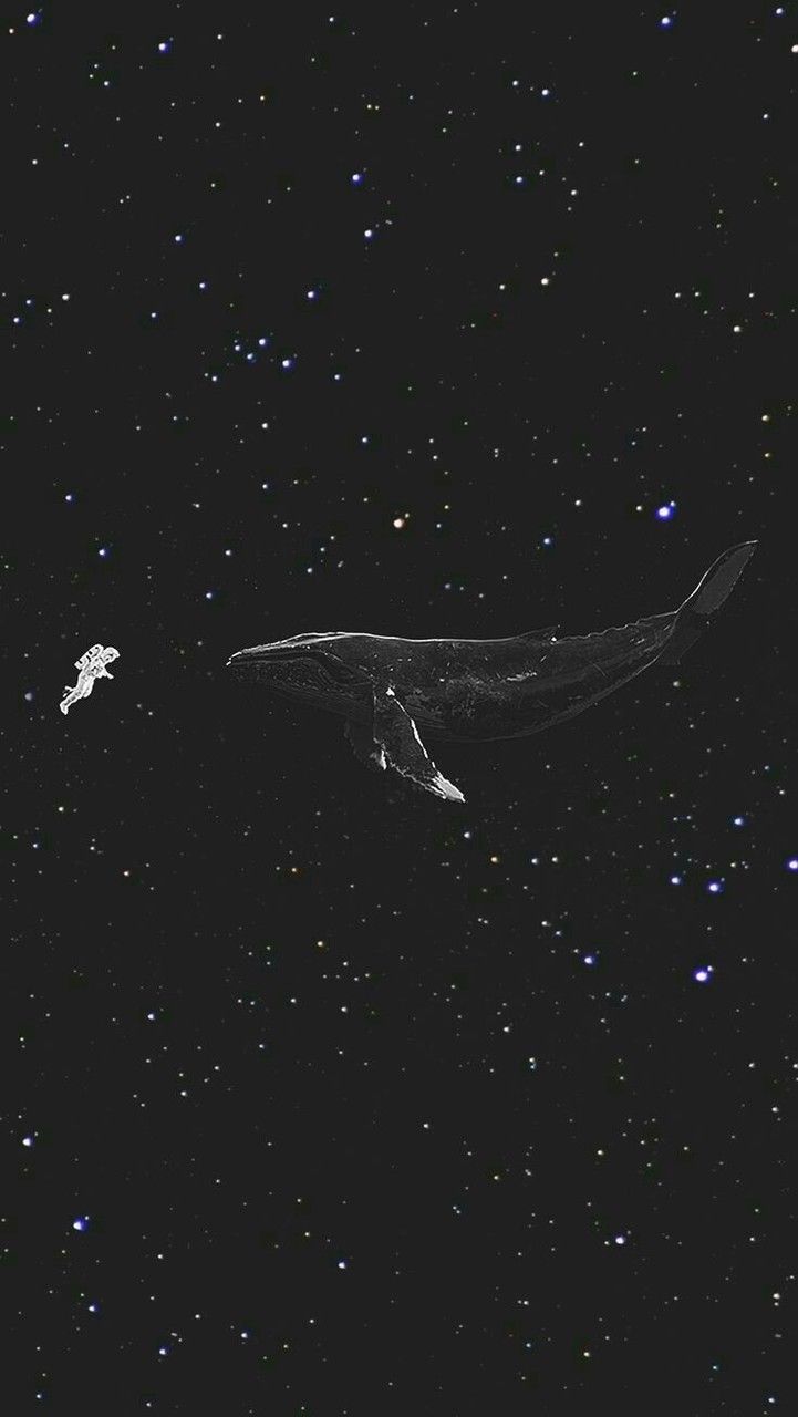 Fondo de pantalla de EXO 721x1280