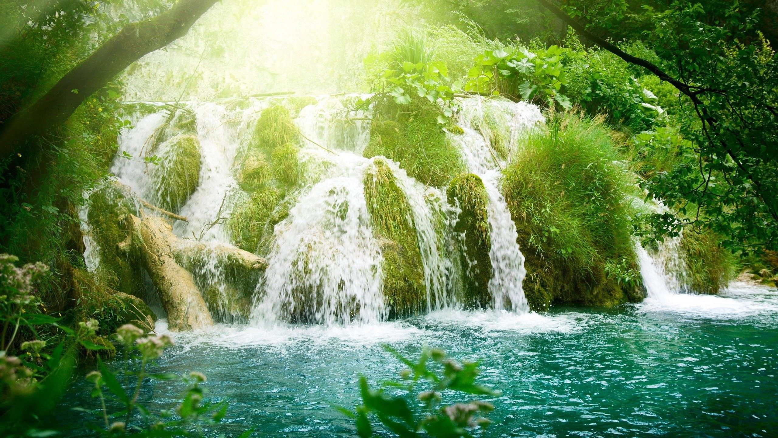 Fondo de pantalla de cascada 2560x1440