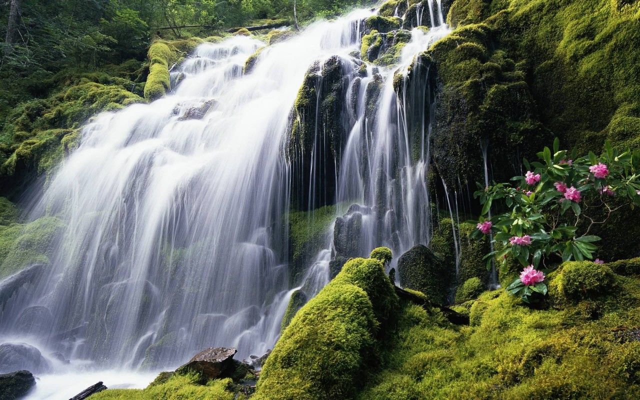 Fondo de pantalla de cascada 1280x800
