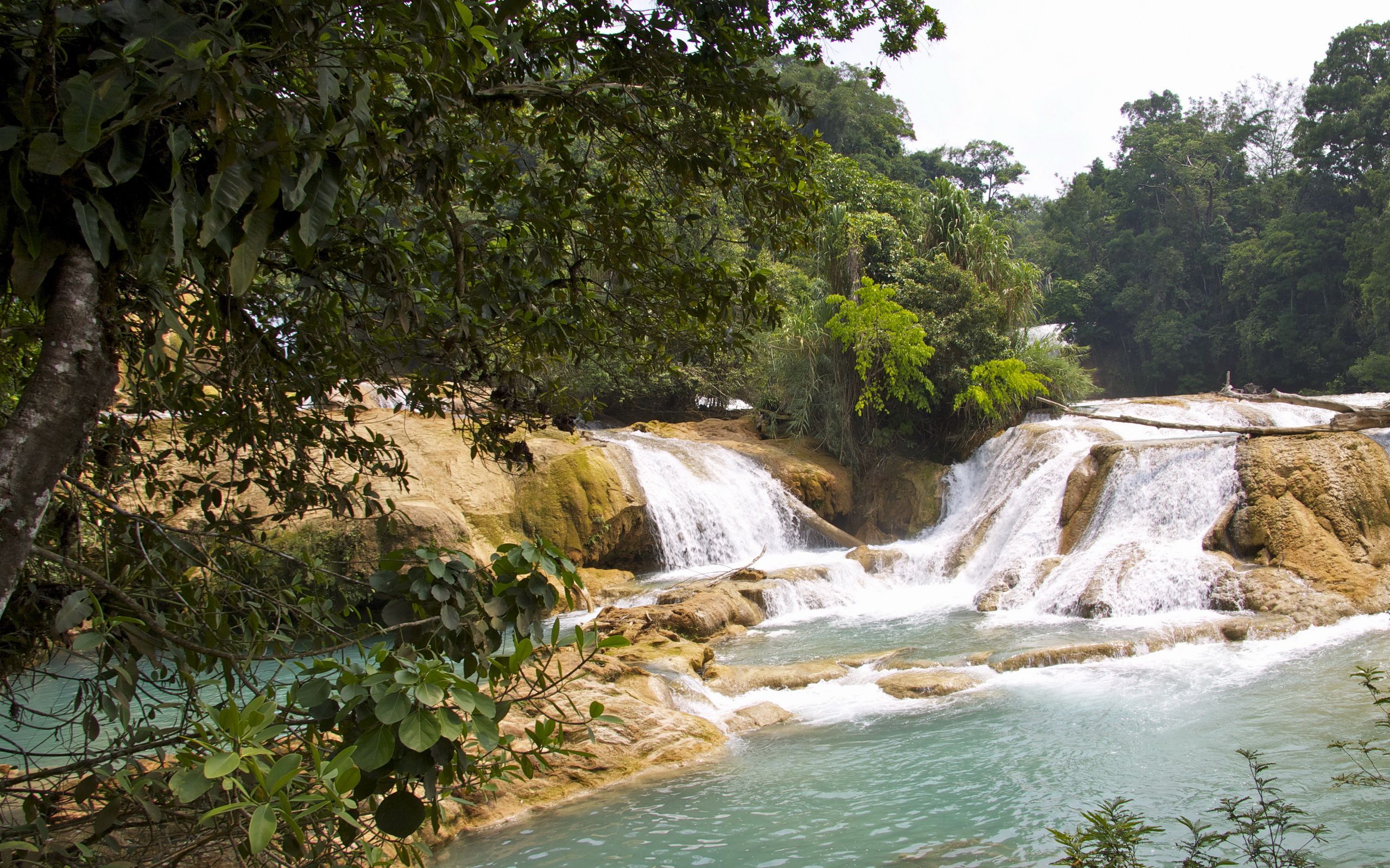 Fondo de pantalla de cascada 2560x1600