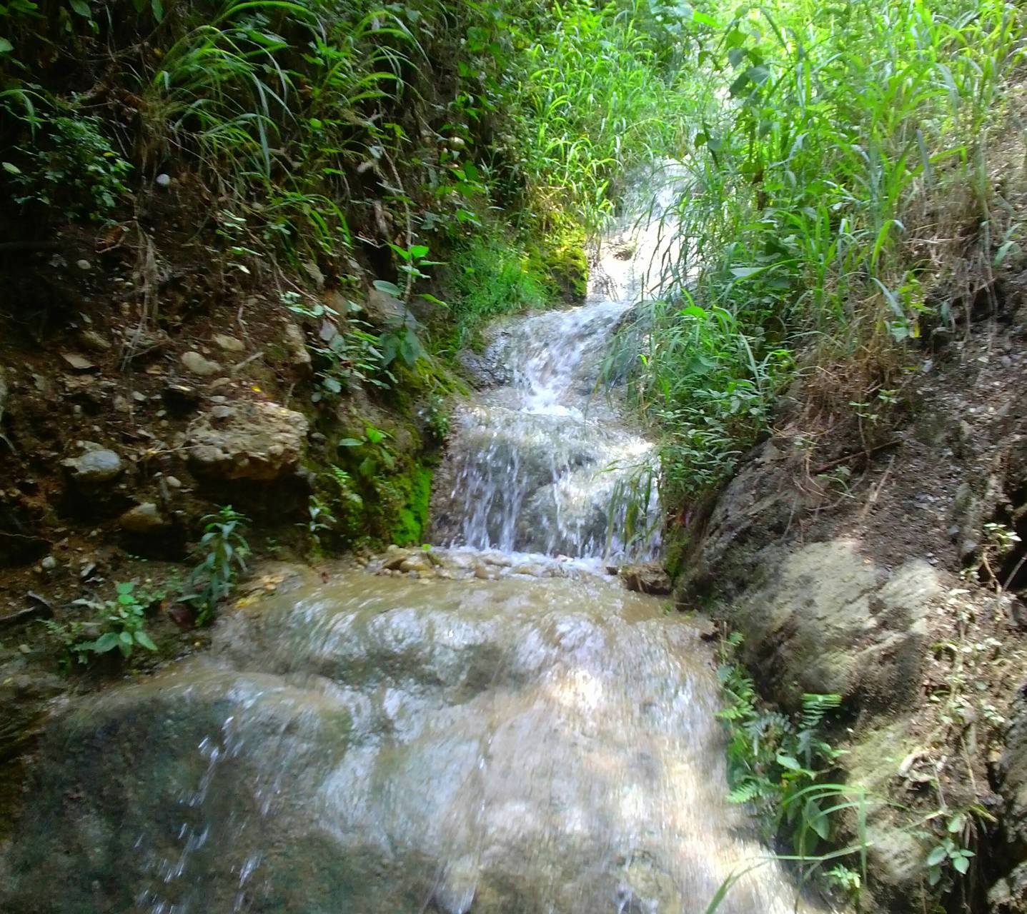 Fondo de pantalla de cascada 1437x1280