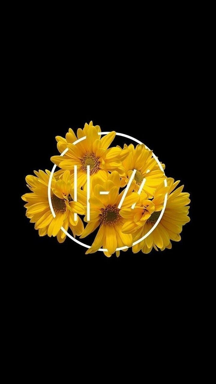 Fondo de pantalla de Twenty One Pilots 720x1280