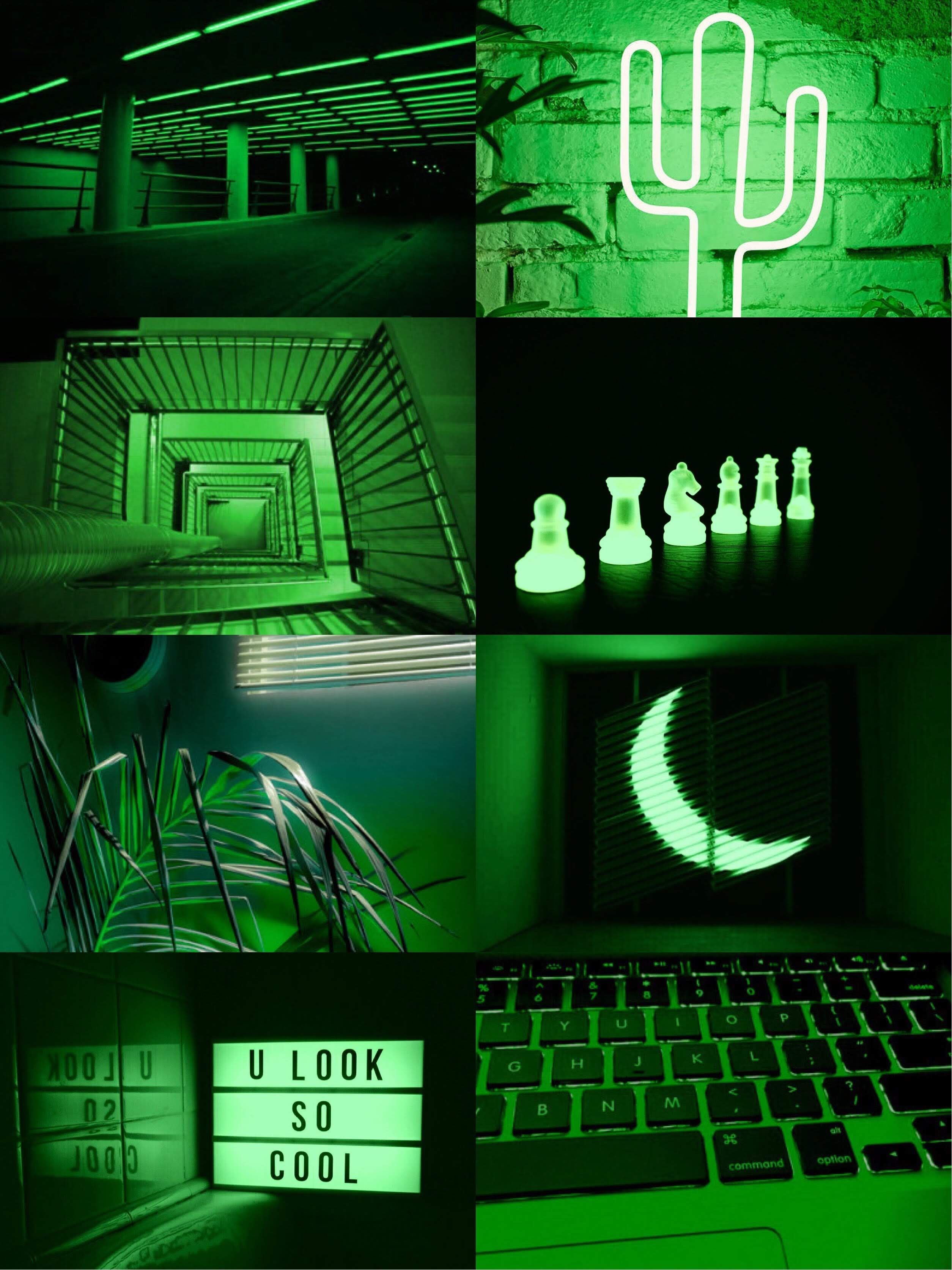 Fondo de pantalla   2509x3345