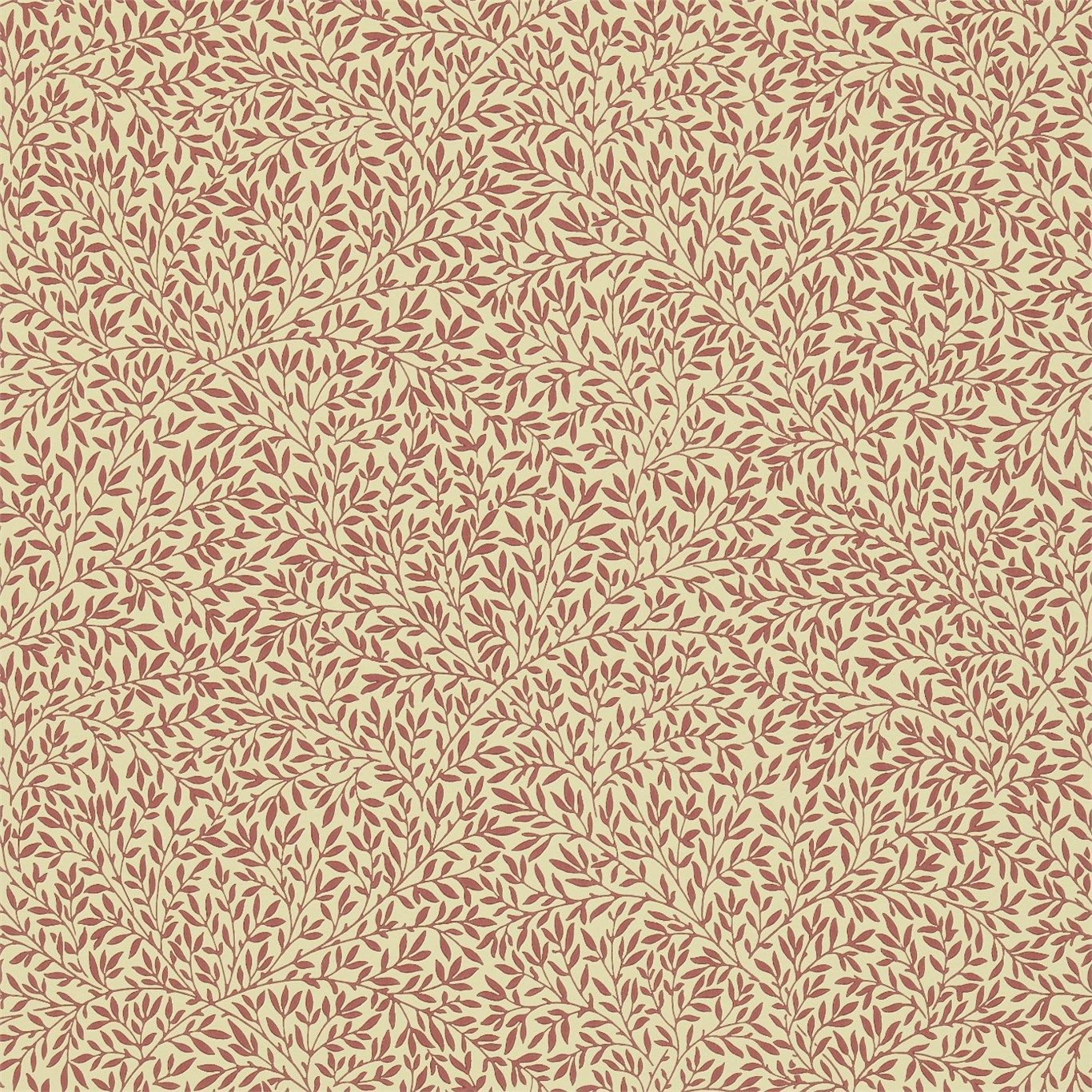 Fondo de pantalla de  1366x1366