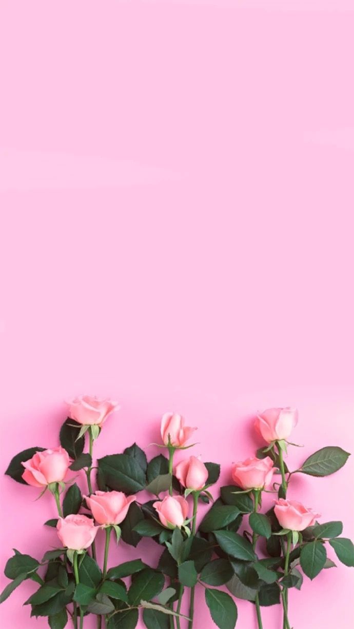 Fondos de iPhone femeninos - Los mejores fondos de iPhone femeninos gratis