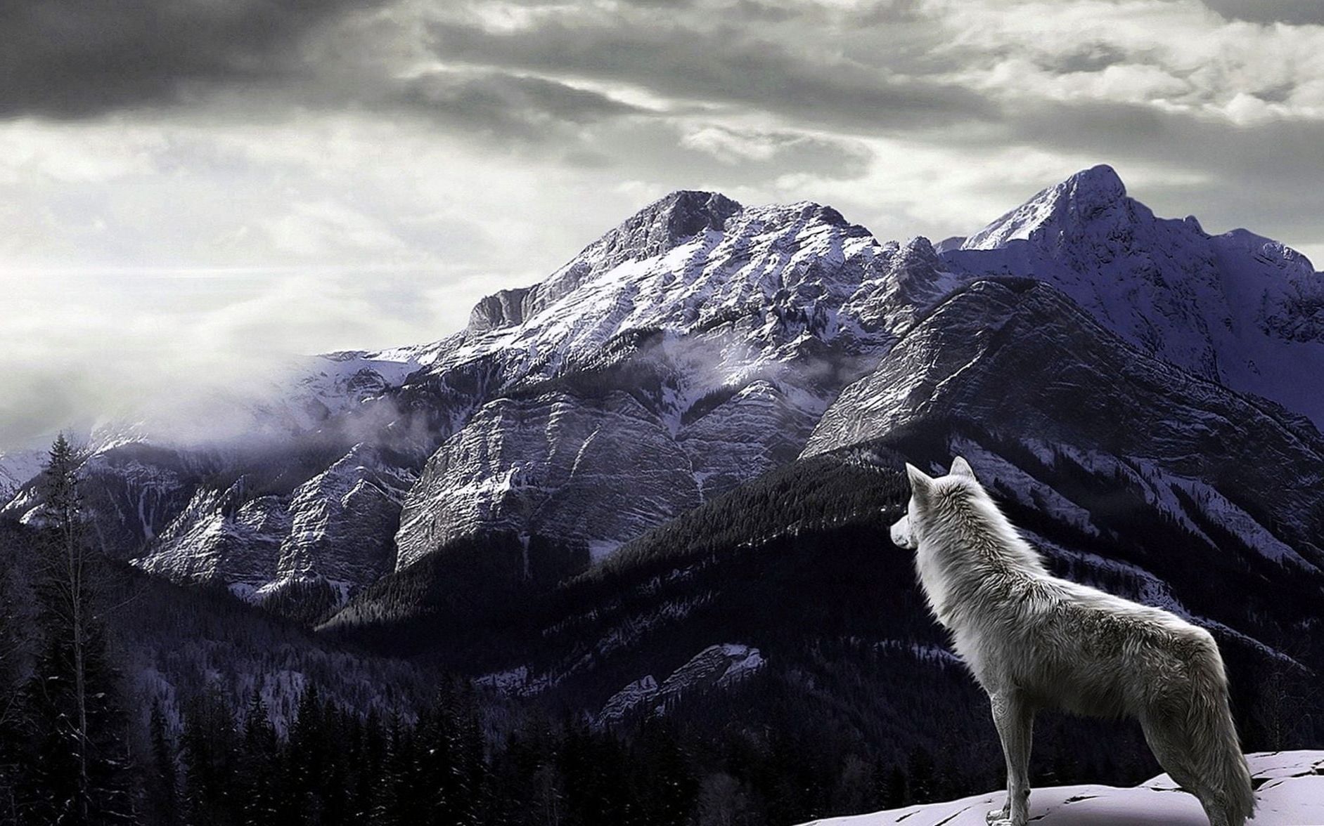 Fondo de pantalla para  1883x1176