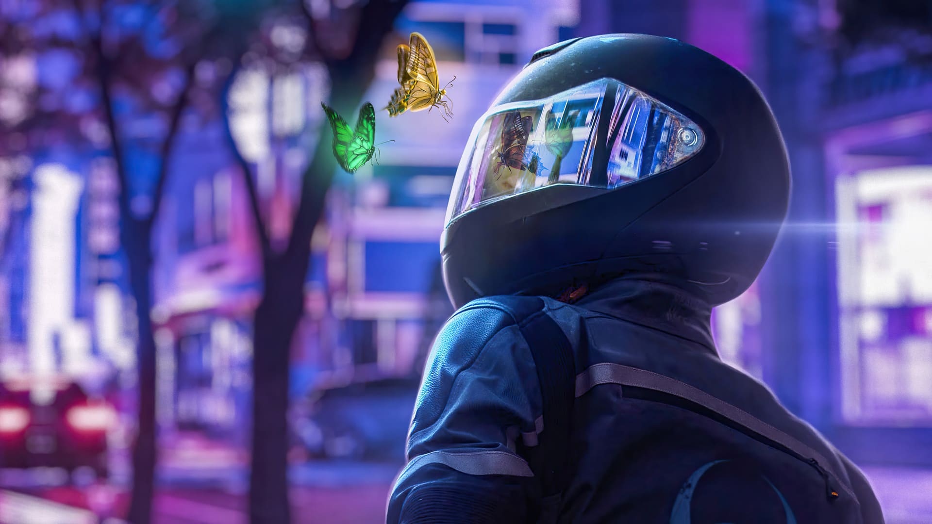 Fondo de pantalla para  1920x1080
