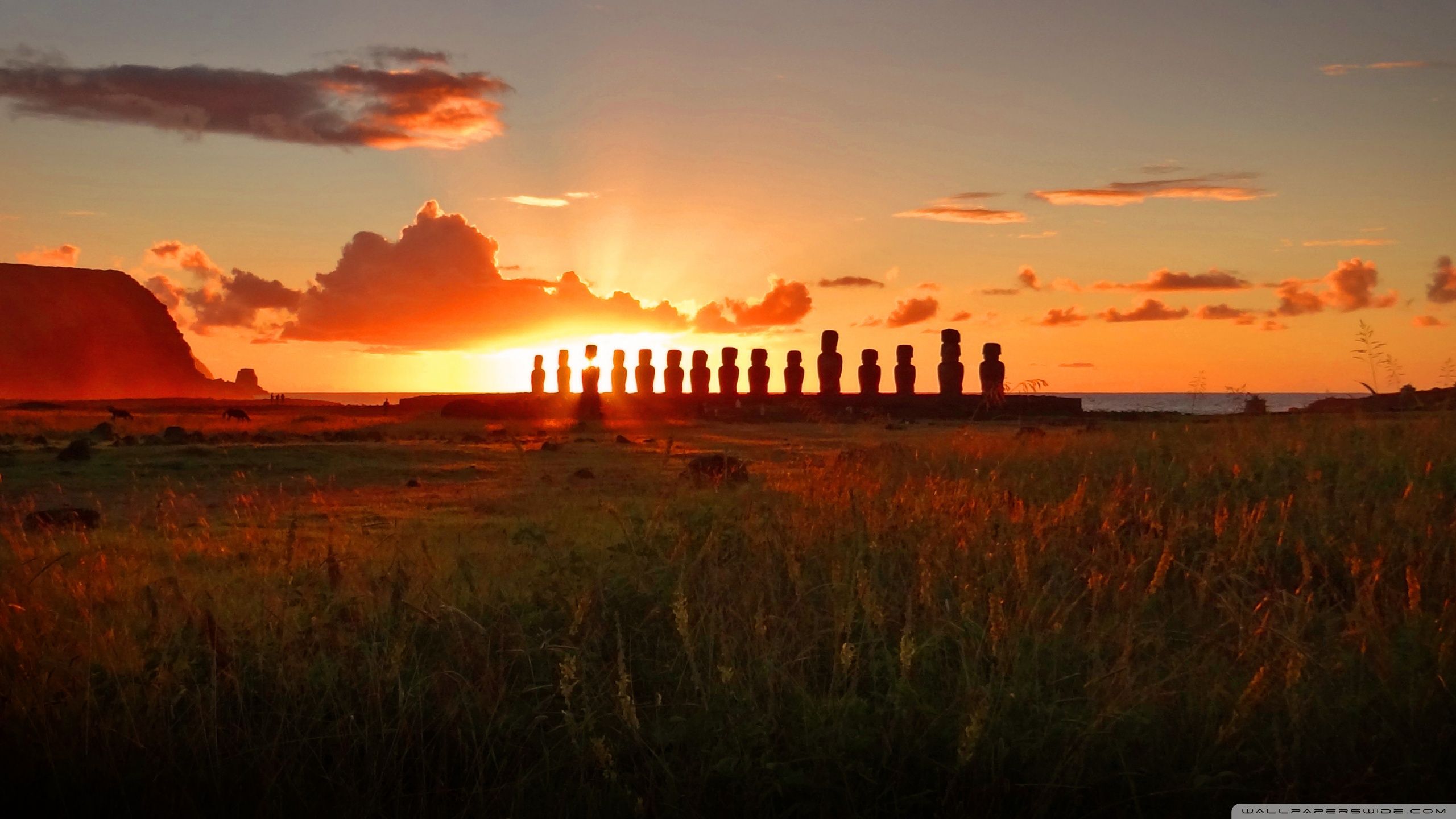 Fondo de pantalla de  2560x1440