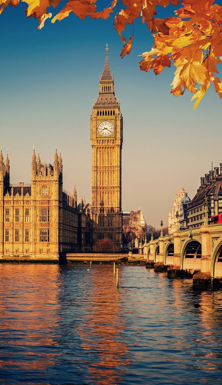Fondo de pantalla de  736x1273
