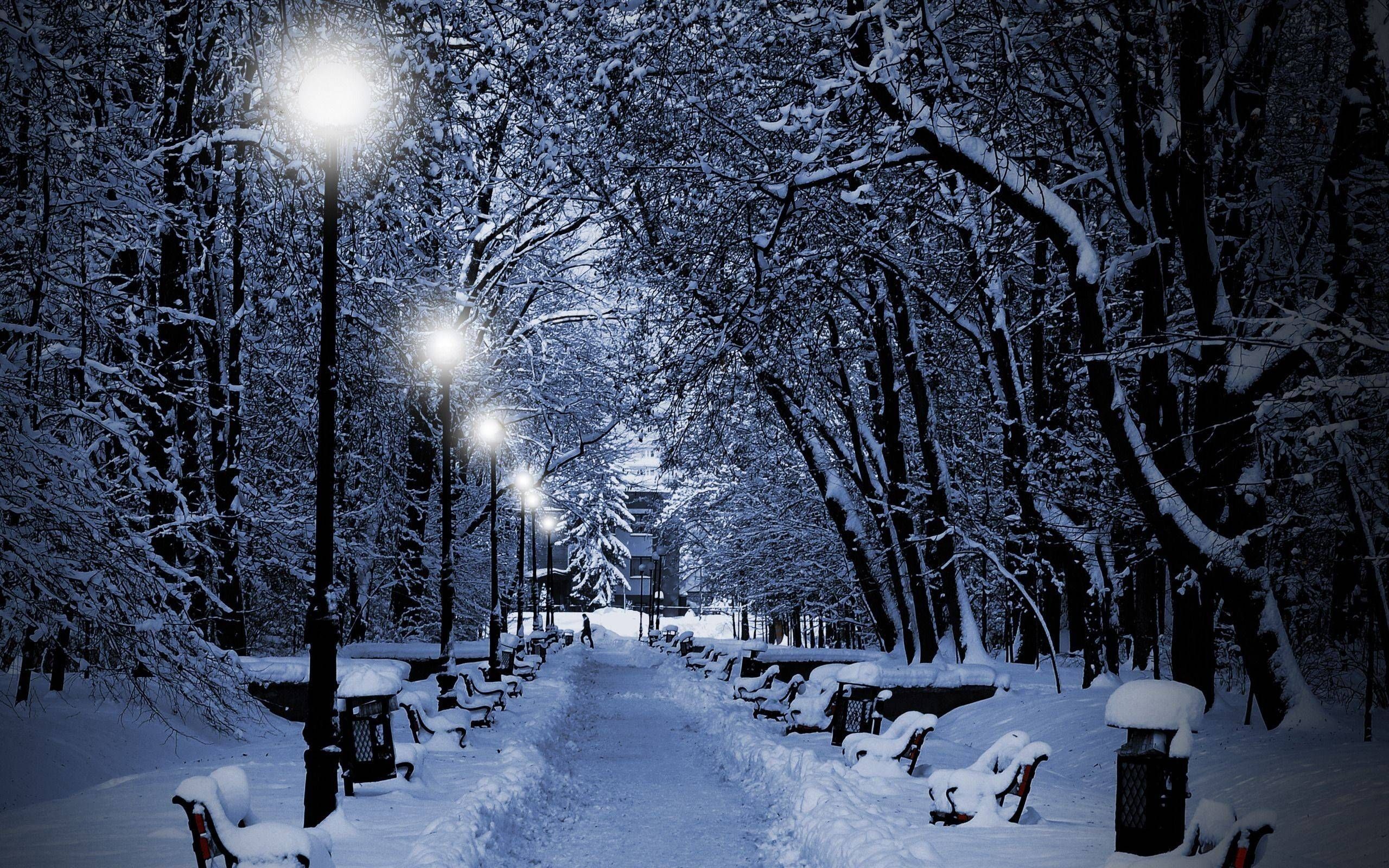 Más de 55 fondos de pantalla de Snow Computer