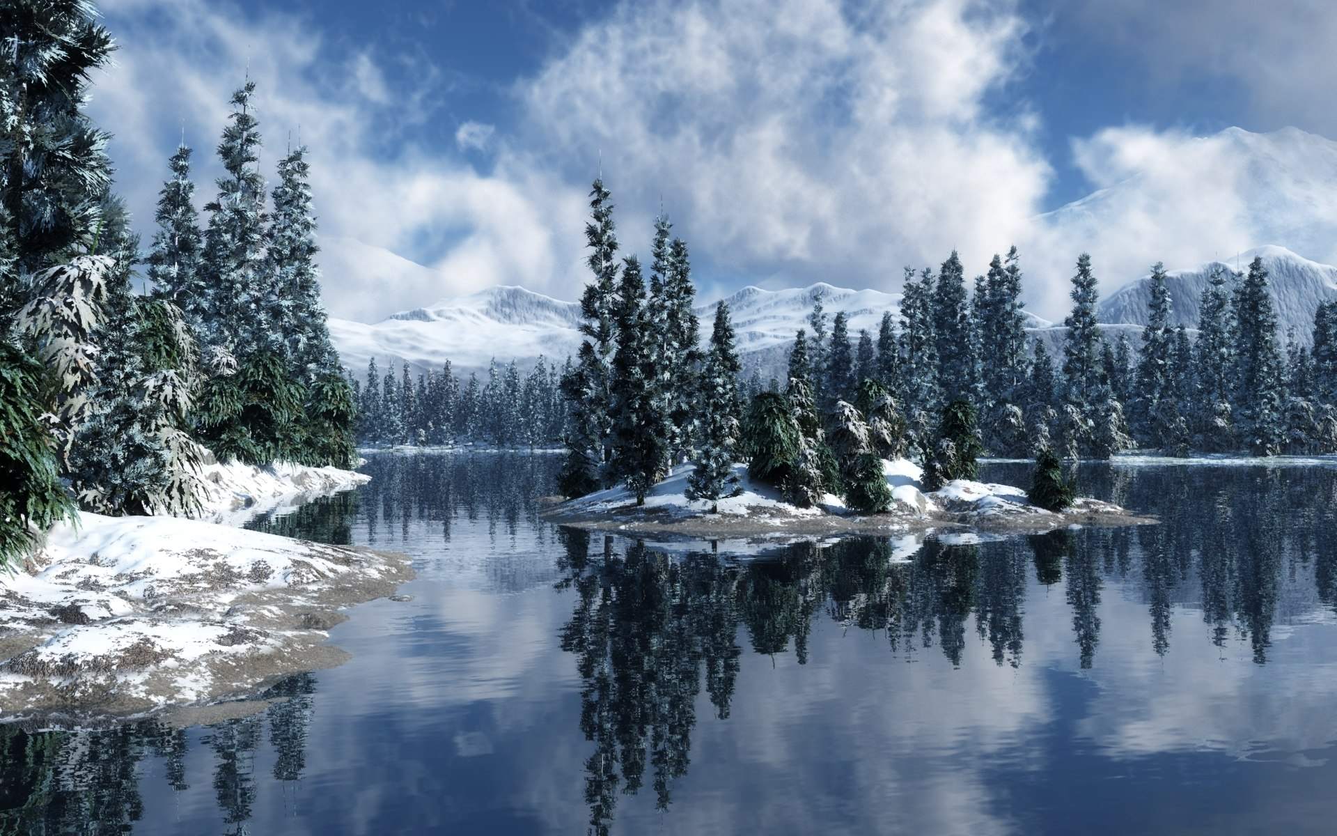 Descarga gratuita Descargar Snow Wallpapers wallpaper Snowy Forest