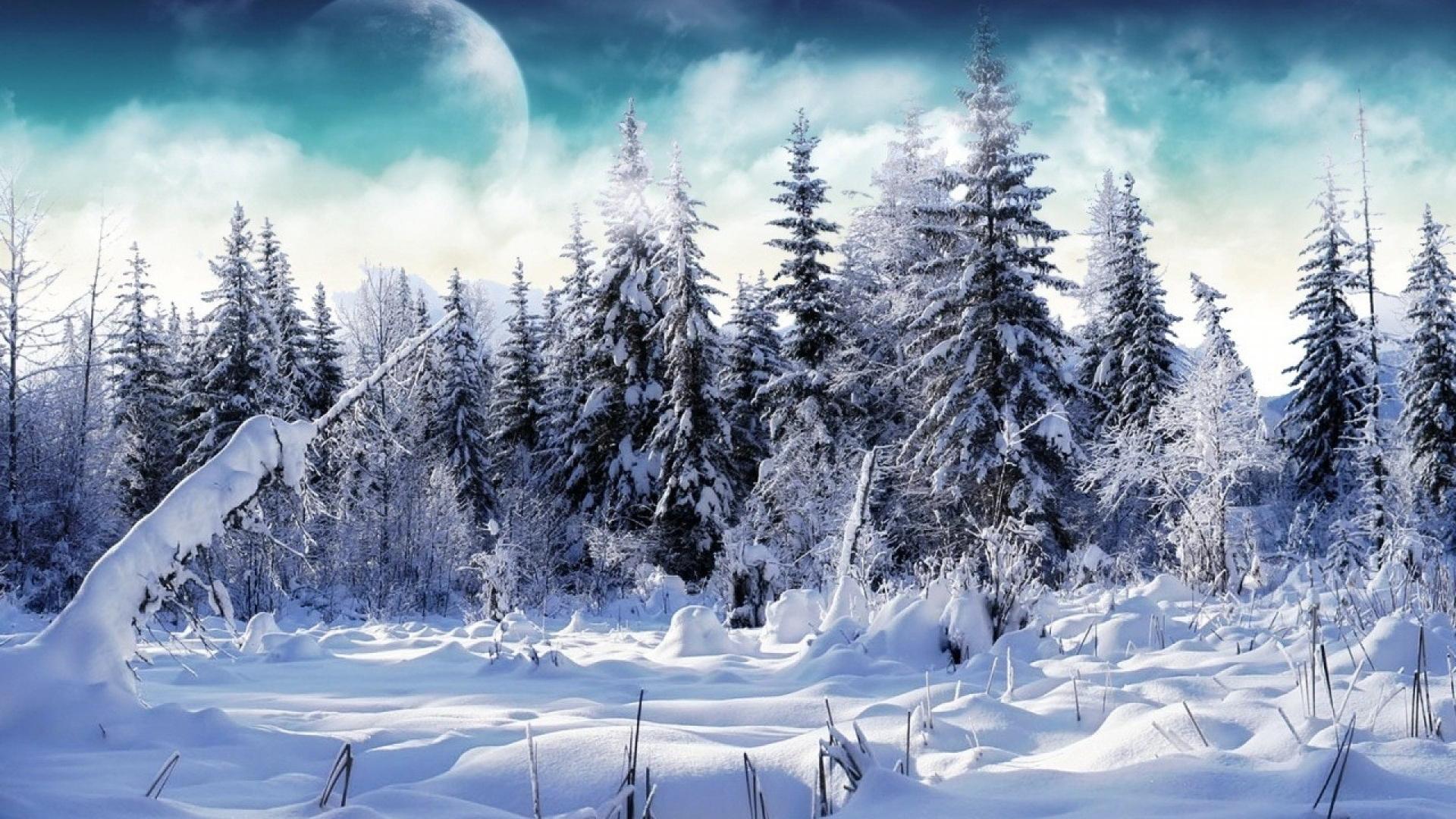 Fondo de pantalla nevado 1920x1080