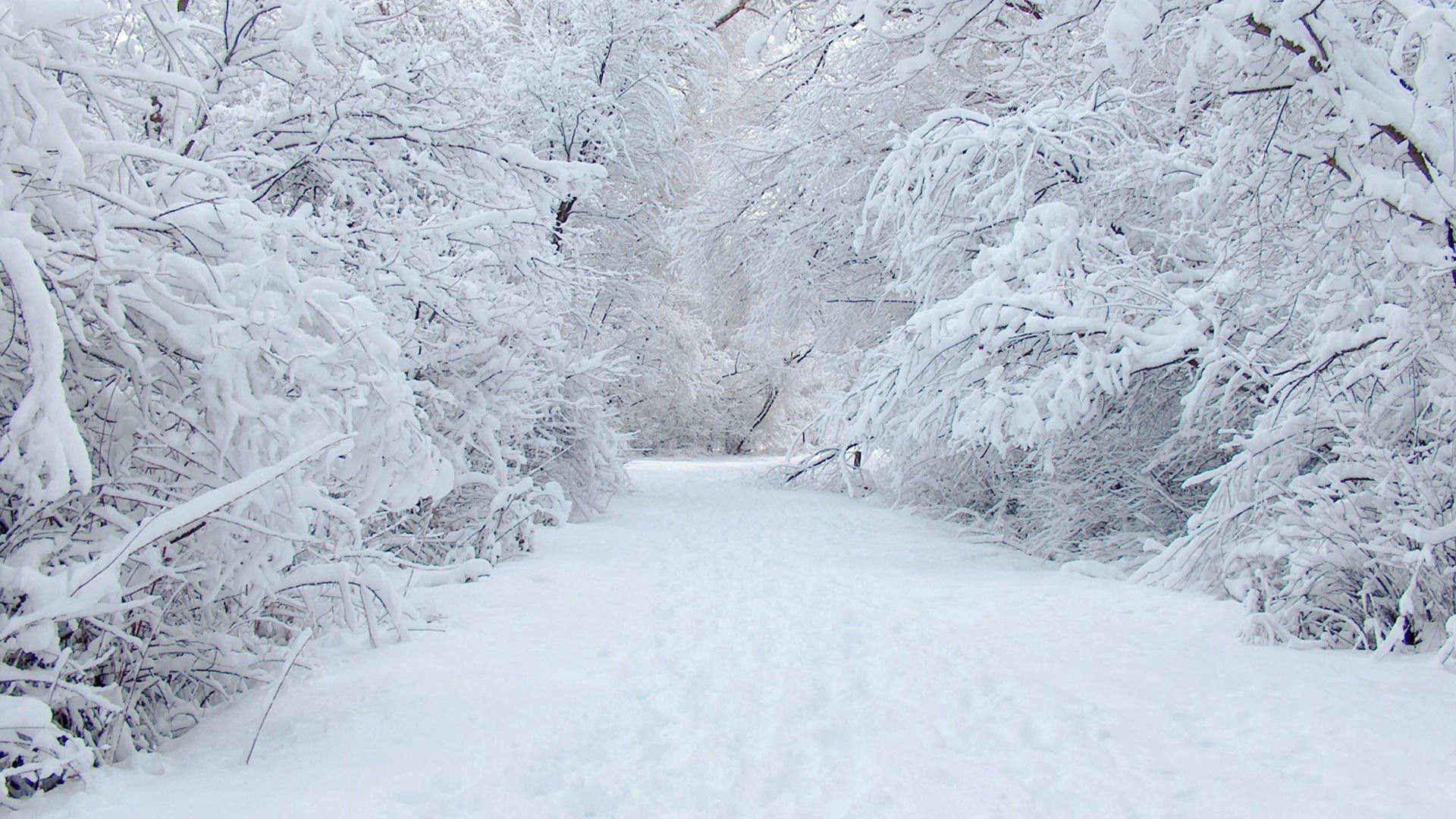 Snowy Wallpaper (57+ imágenes)