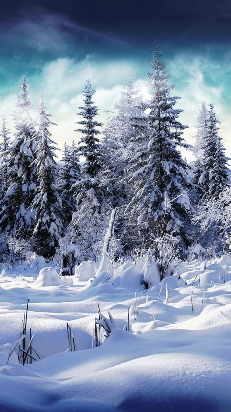 25 Fondos de pantalla de iPhone de invierno