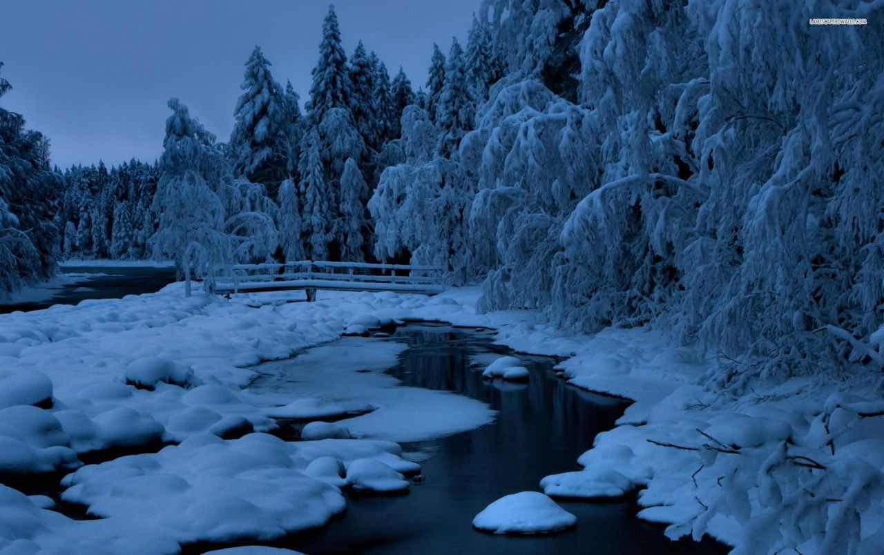 Blue Winter Trees Creek Nevado fondos de pantalla | Blue Winter Trees Creek