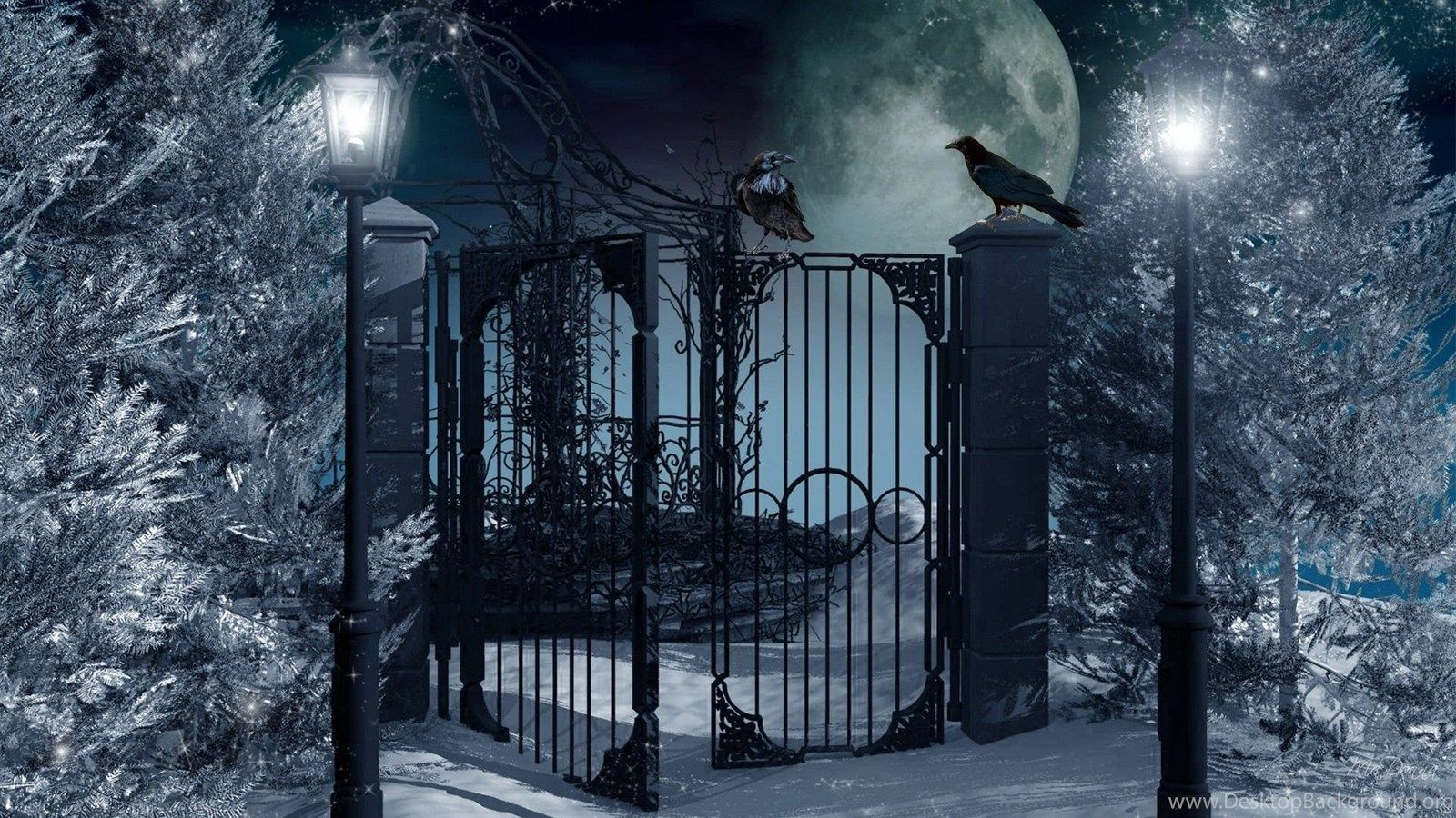 Winter Night Snowy Wallpapers Pics 3968 HD Wallpapers Site Desktop