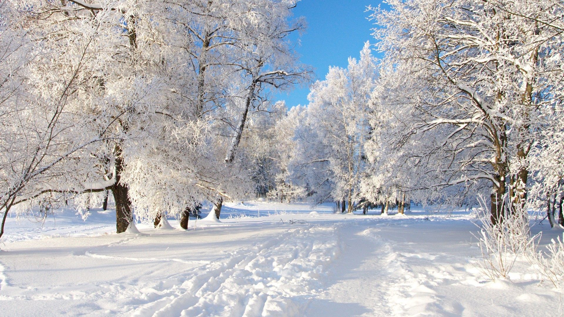 Snow Desktop Wallpapers (las mejores 59+ imágenes en 2018)