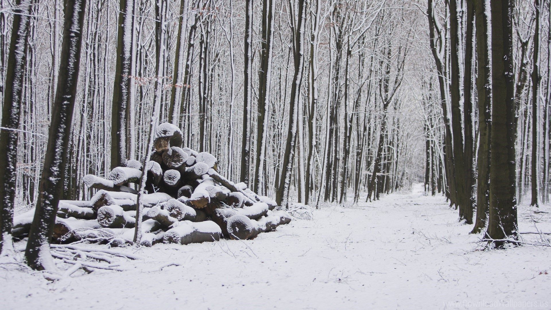 20 blasfemia, blasfemia digital, galería, lugares, paisajes, nieve