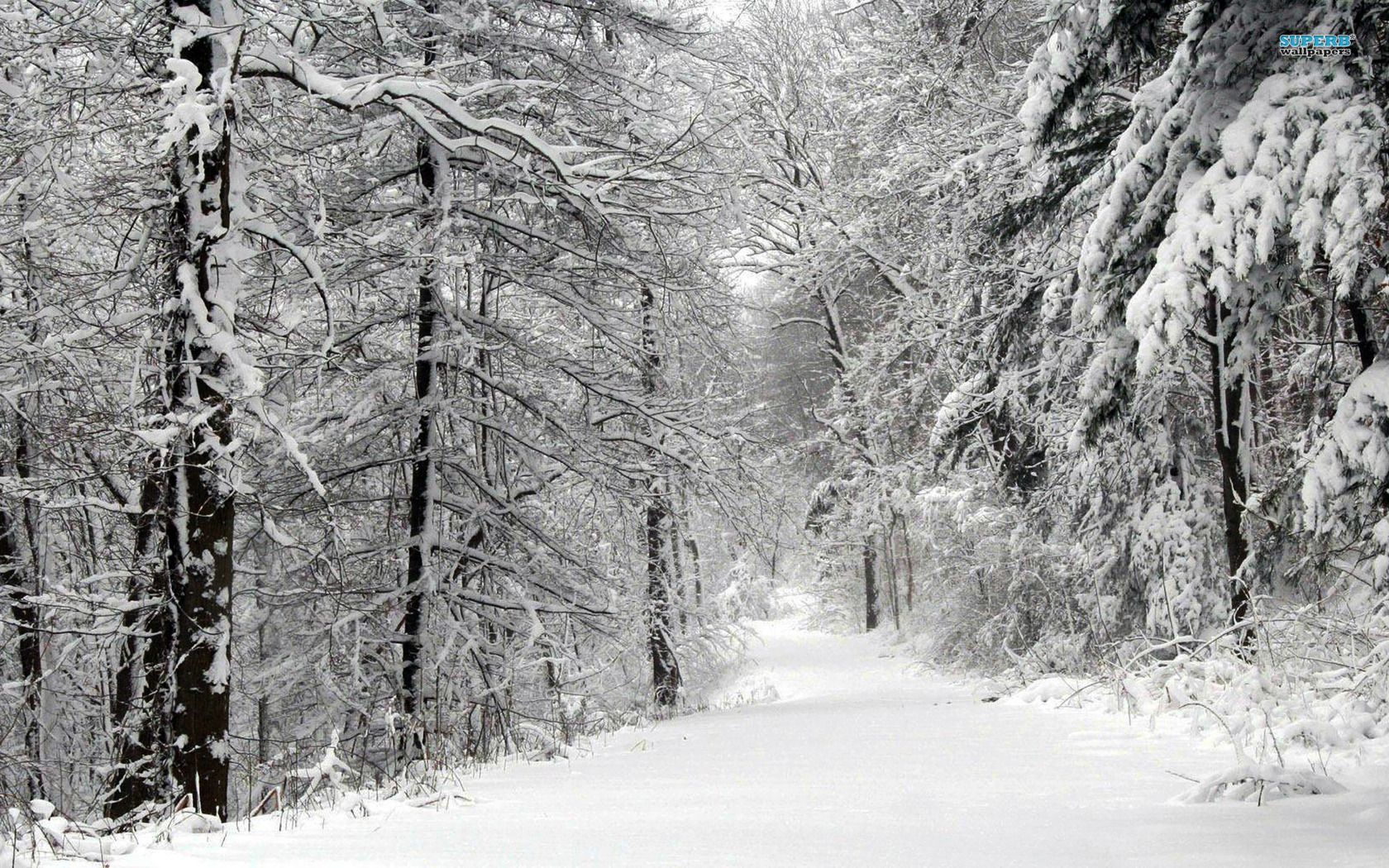 Nevado fondo de pantalla | 1680x1050 | # 79854