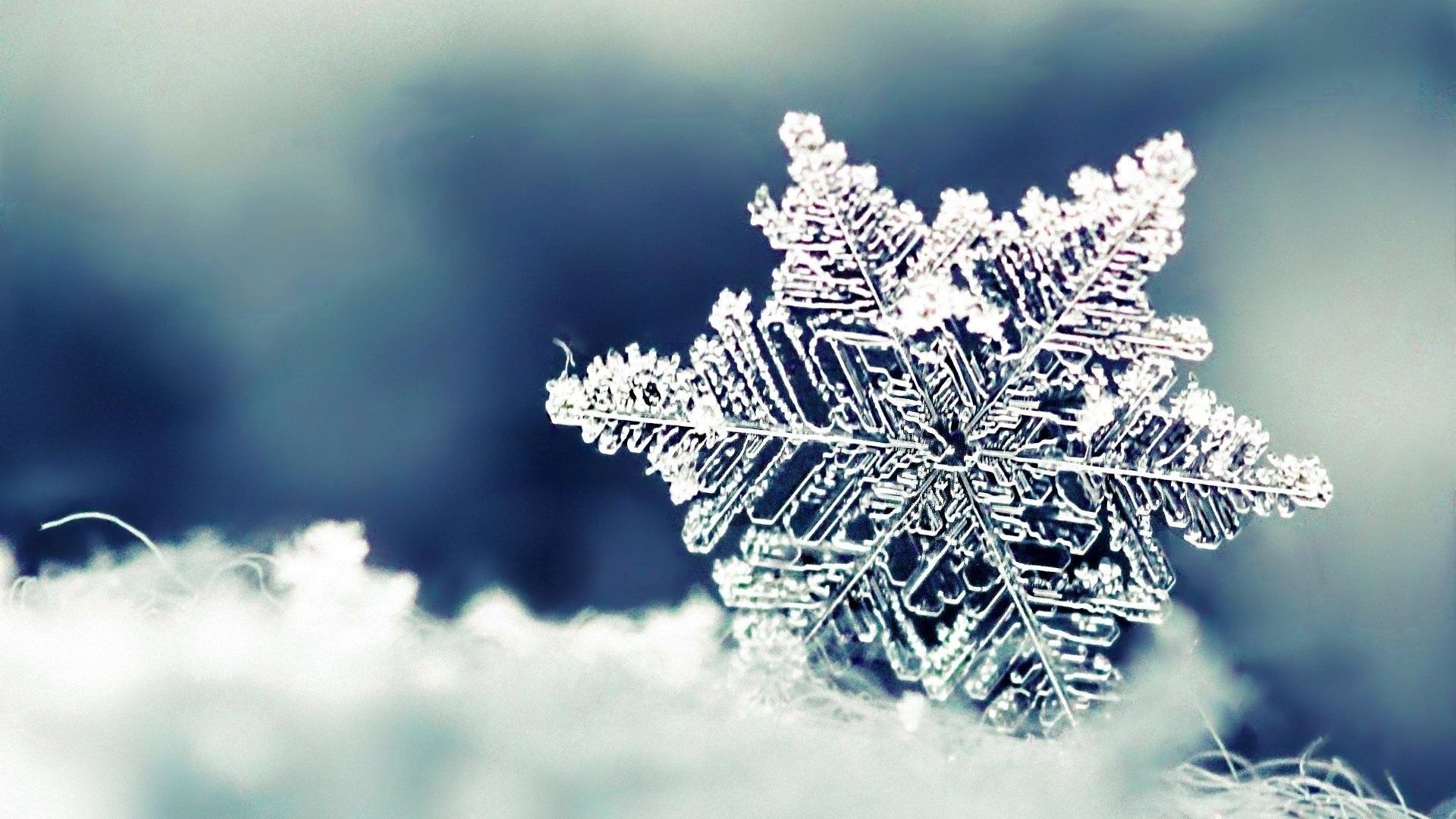 Awesome Snowy Wallpaper (más de 69 imágenes en la colección) Página 1