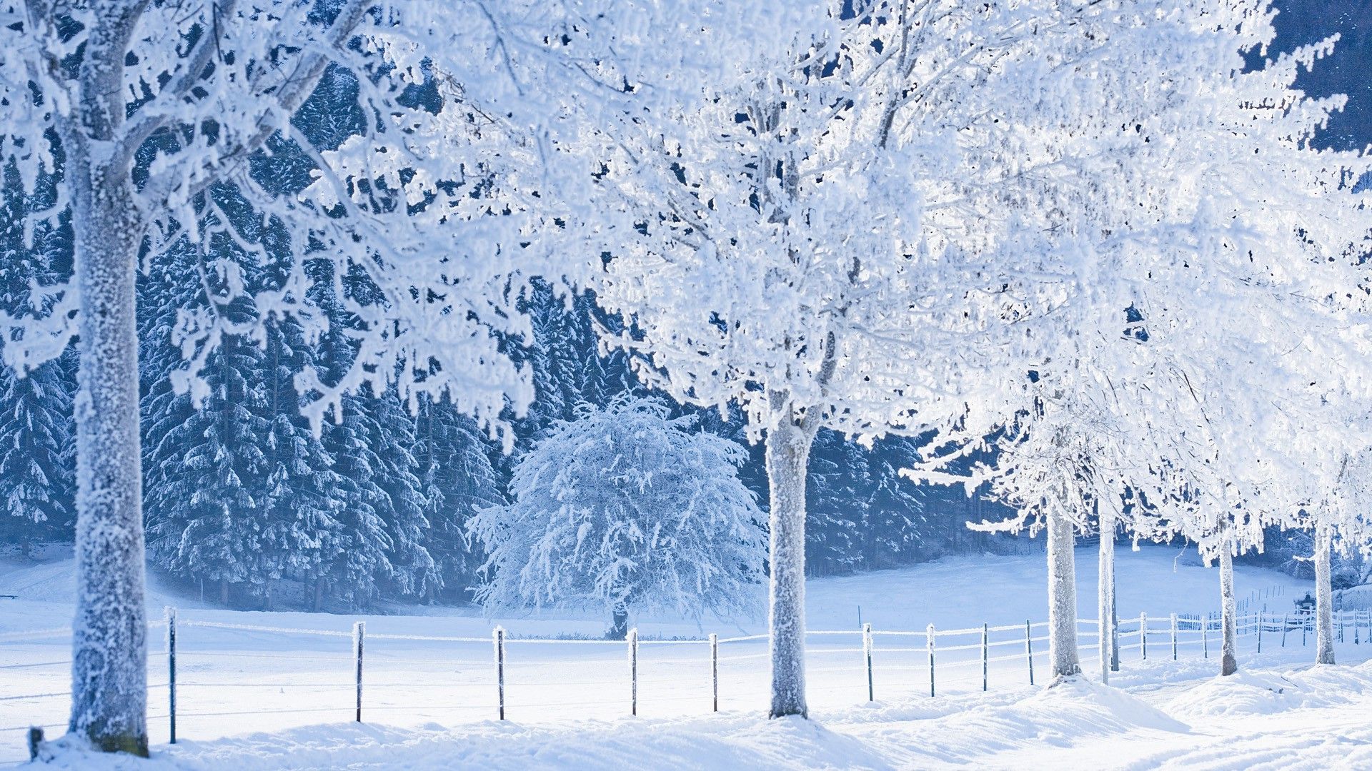 fondo nevado - Fondos de pantalla HD | 4k HD