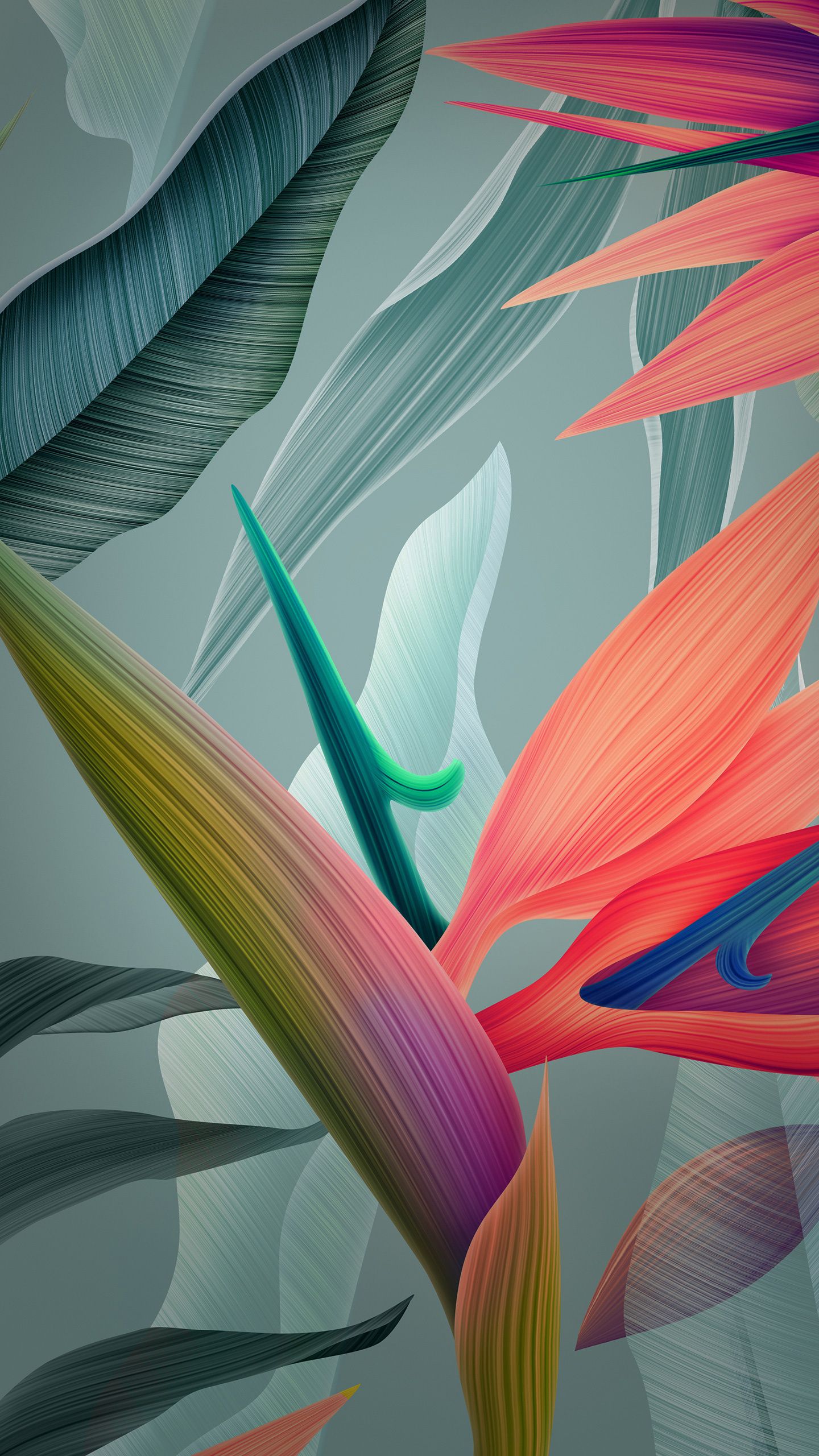 Fondo de pantalla   1440x2560